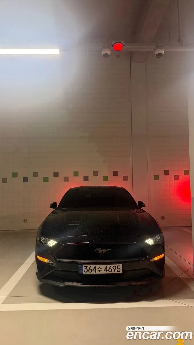 Ford Mustang 2019 — 3
