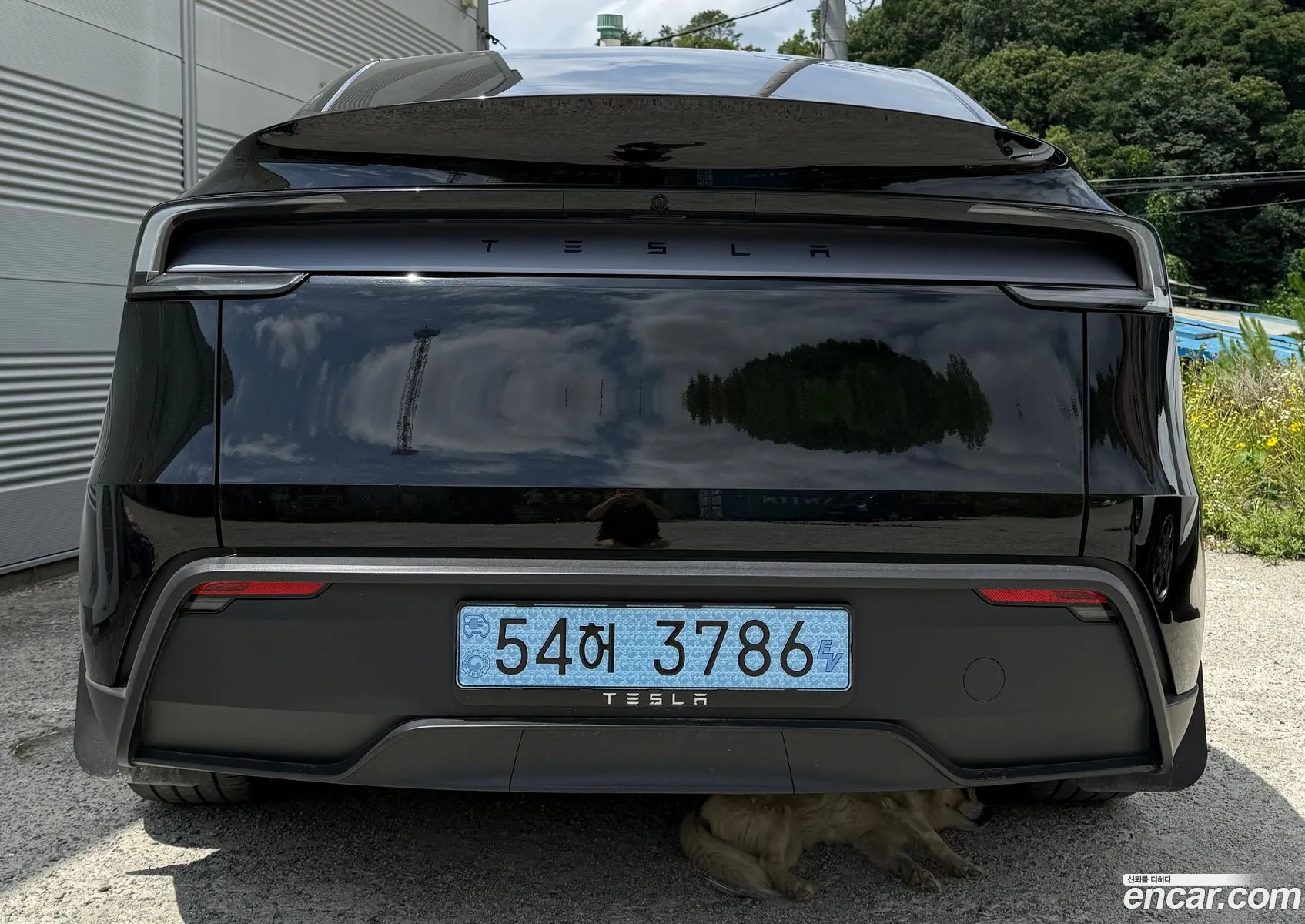 Tesla Model Y 2025 — 5