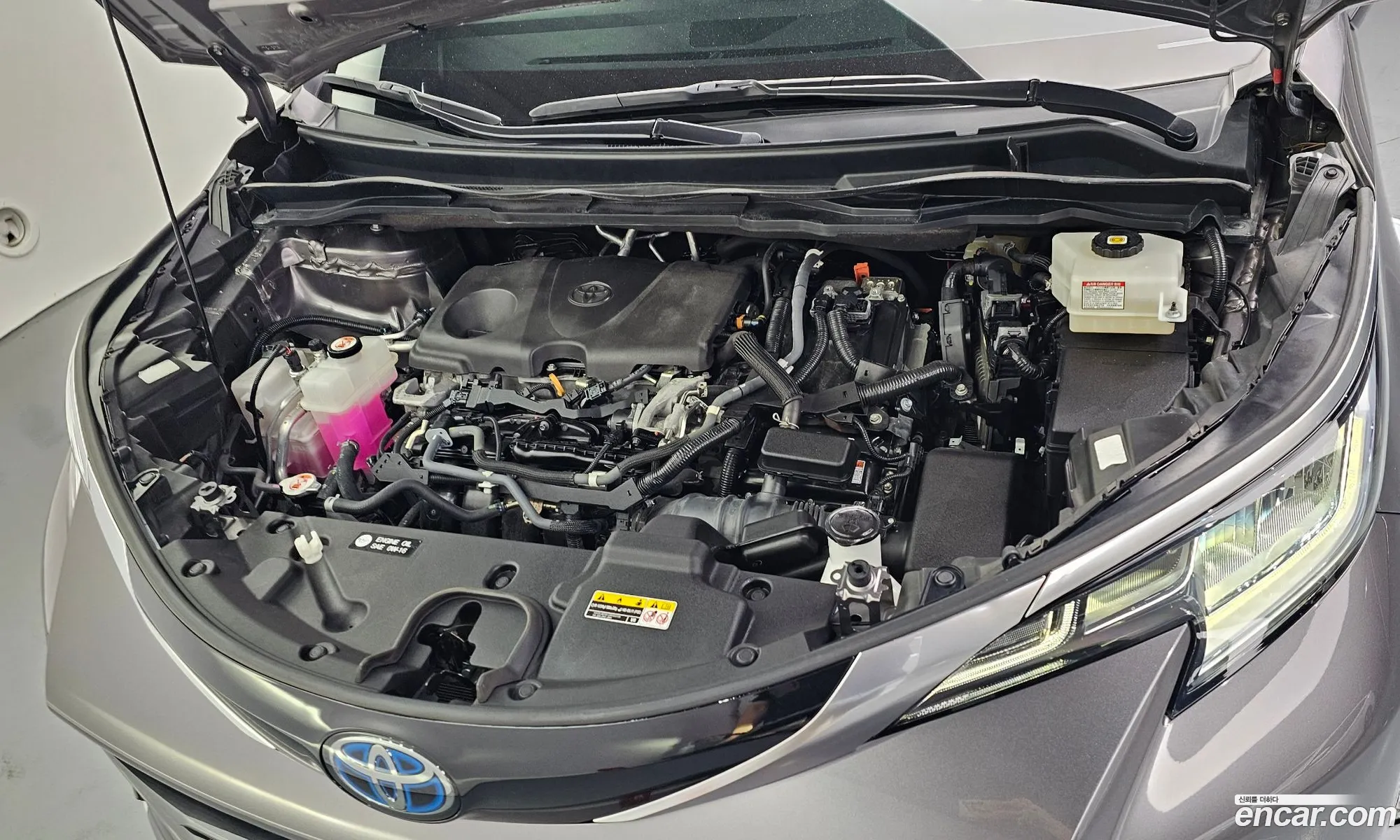 Toyota Sienna 2021 5TDGRKEC — 10
