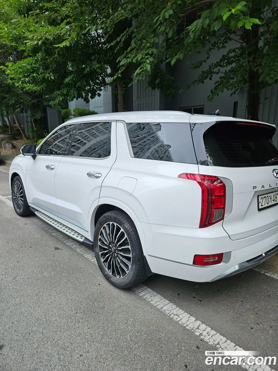 Hyundai Palisade 2020 — 3