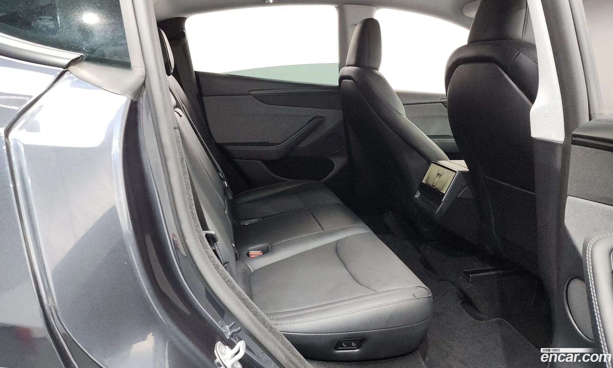 Tesla Model Y 2025 LRWYGCFJ1SC137270 — 19