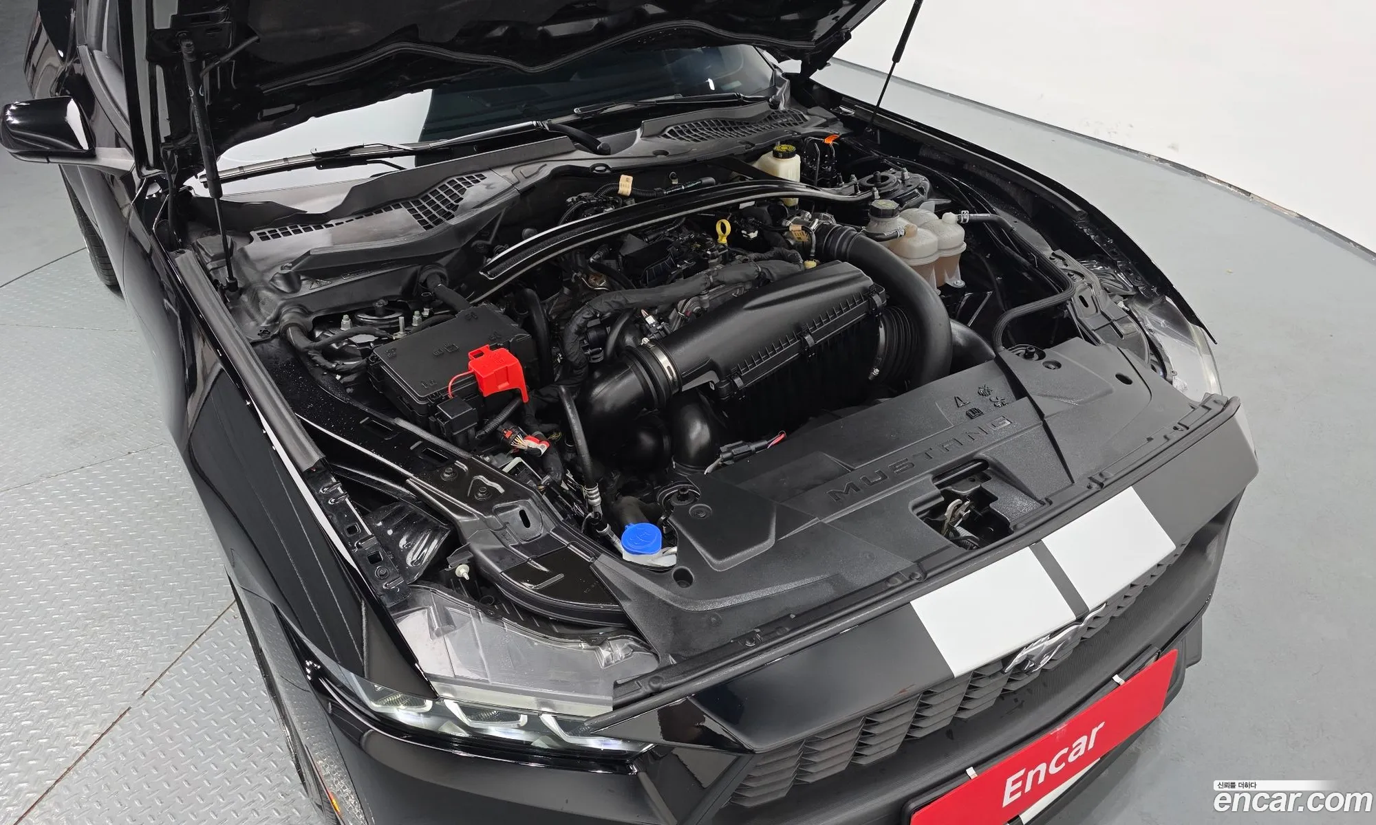 Ford Mustang 7th Gen 2024 — 11