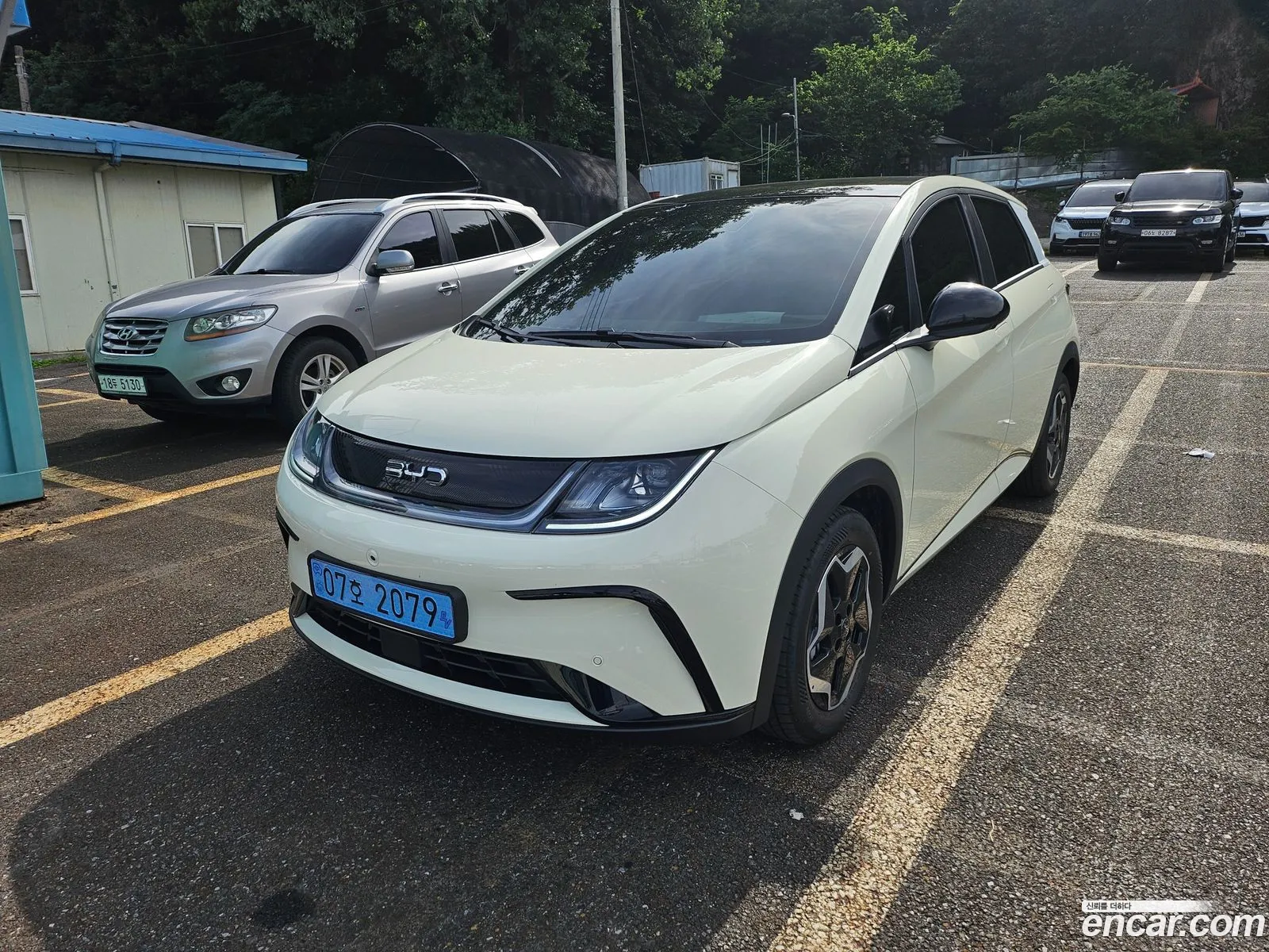 BYD Dolphin 2026 — 7