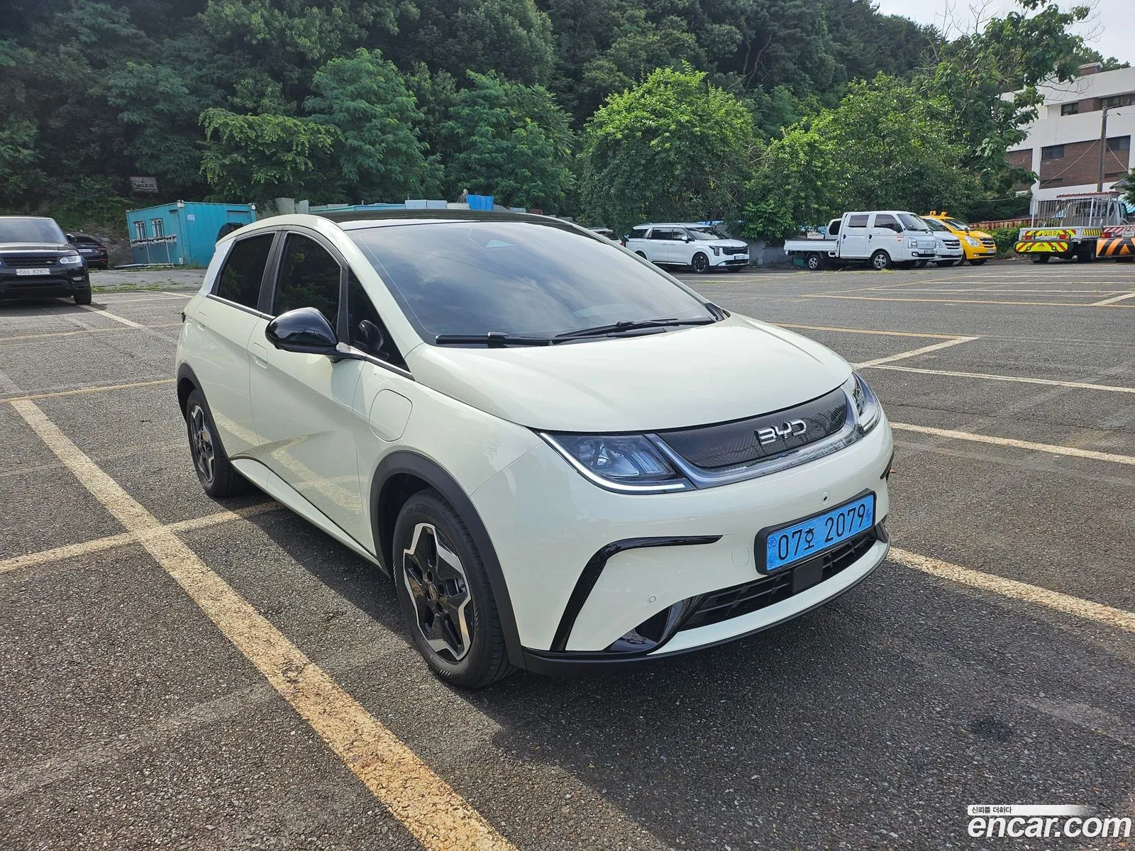BYD Dolphin