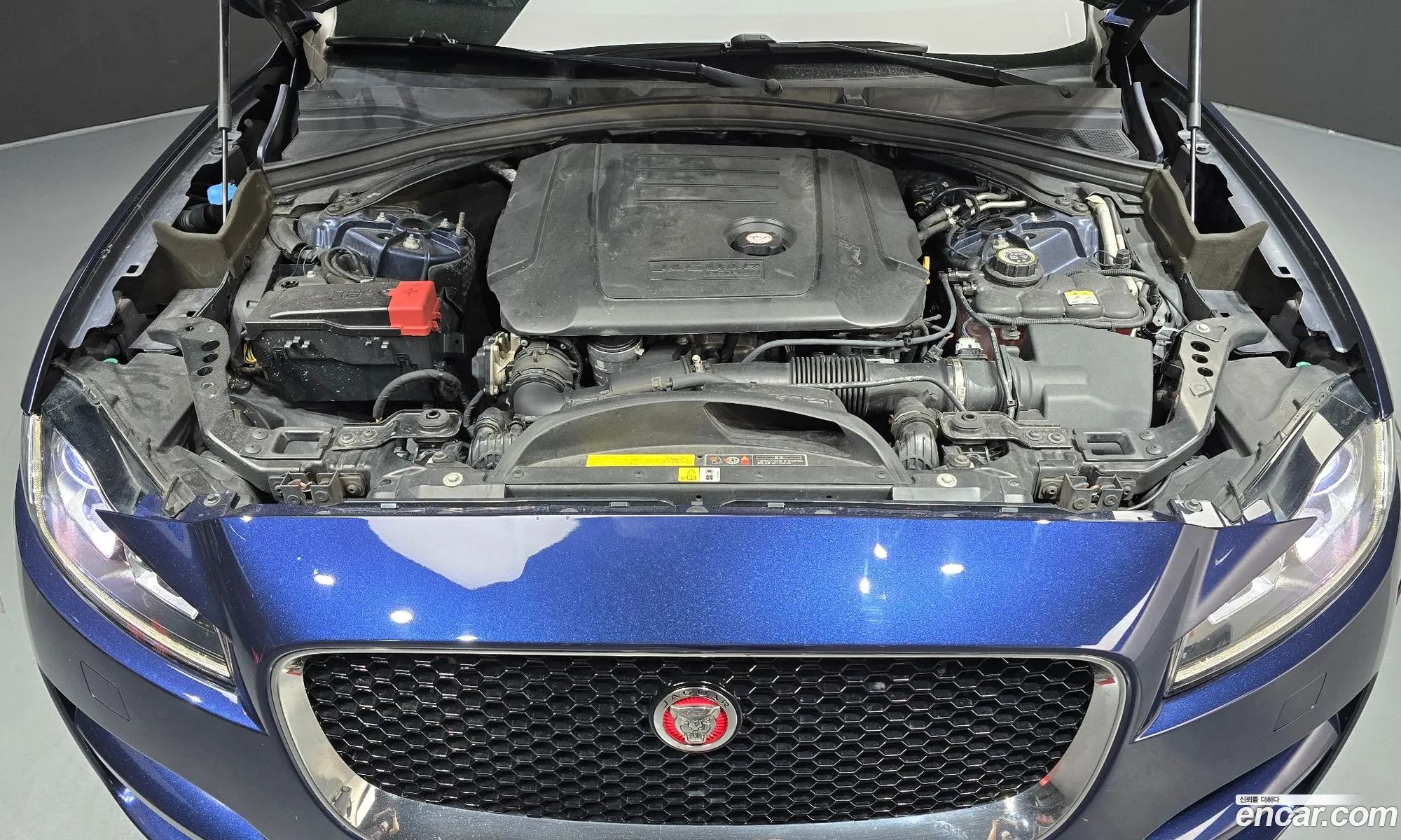 Jaguar F-Pace 2017 SADCA2BN9HA491080 — 8