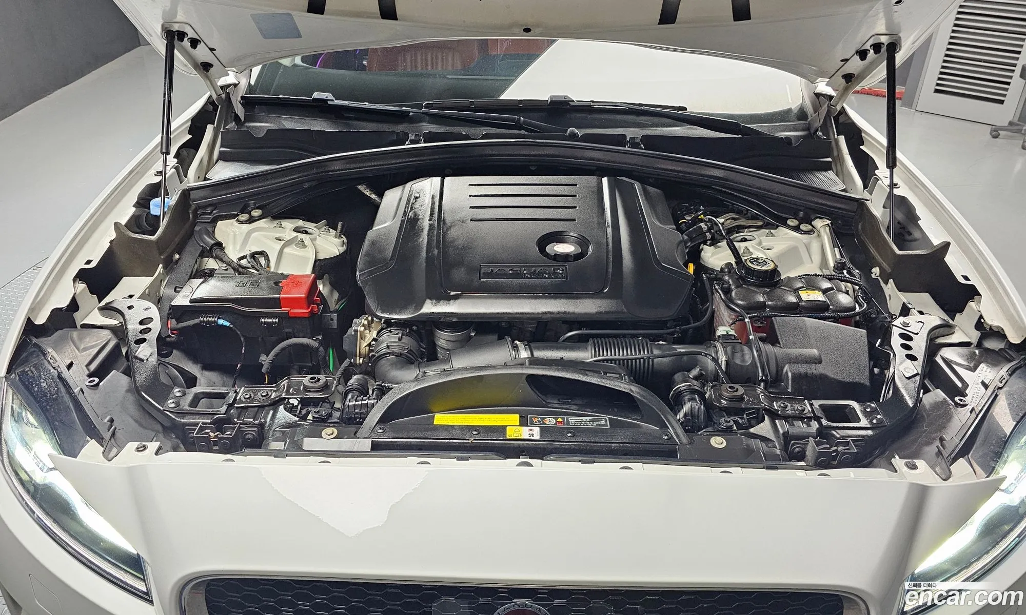 Jaguar F-Pace 2019 SADCA2BN6KA366030 — 12