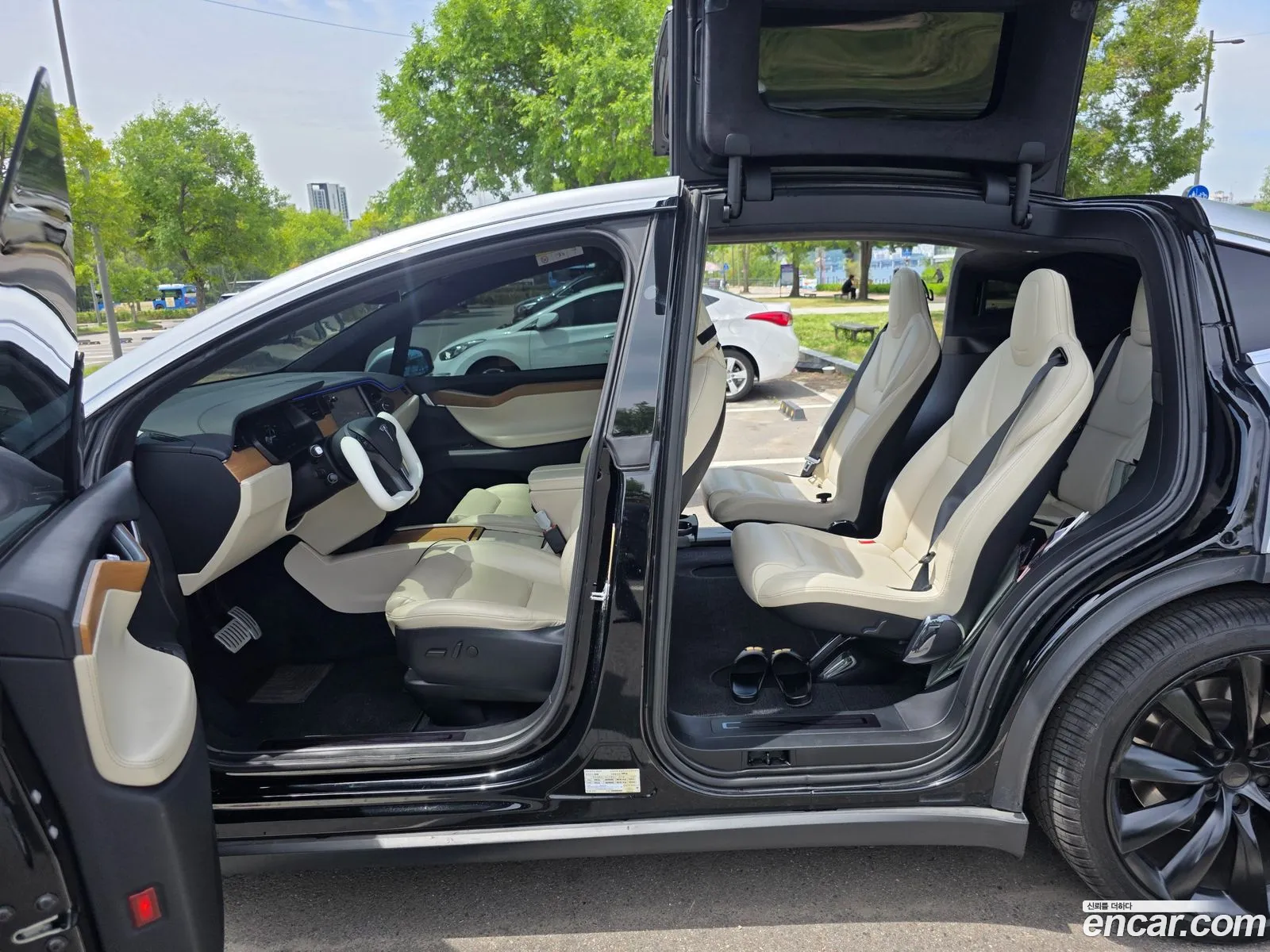 Tesla Model X 2020 — 19