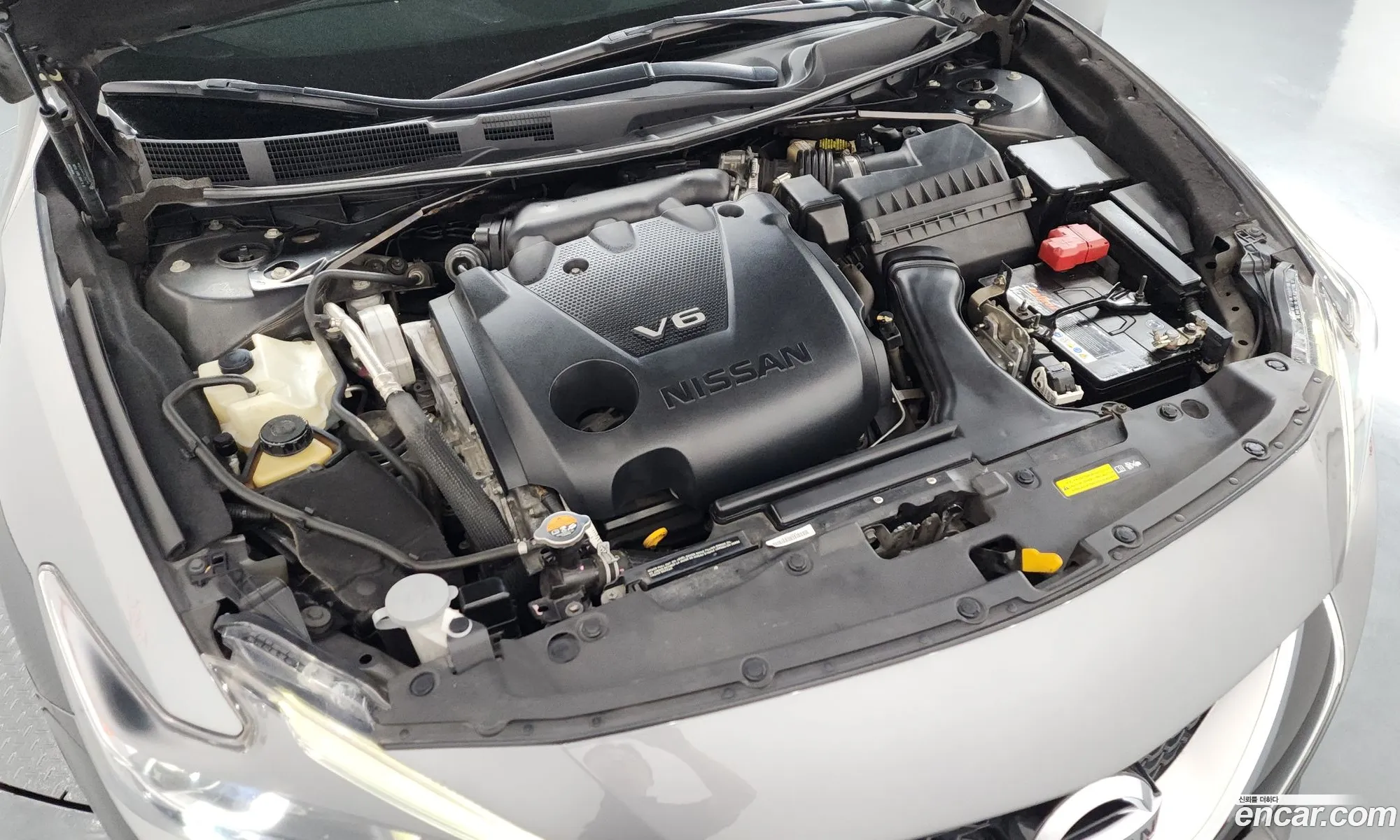 Nissan Maxima 2017 1N4AA6AP8HC417494 — 18