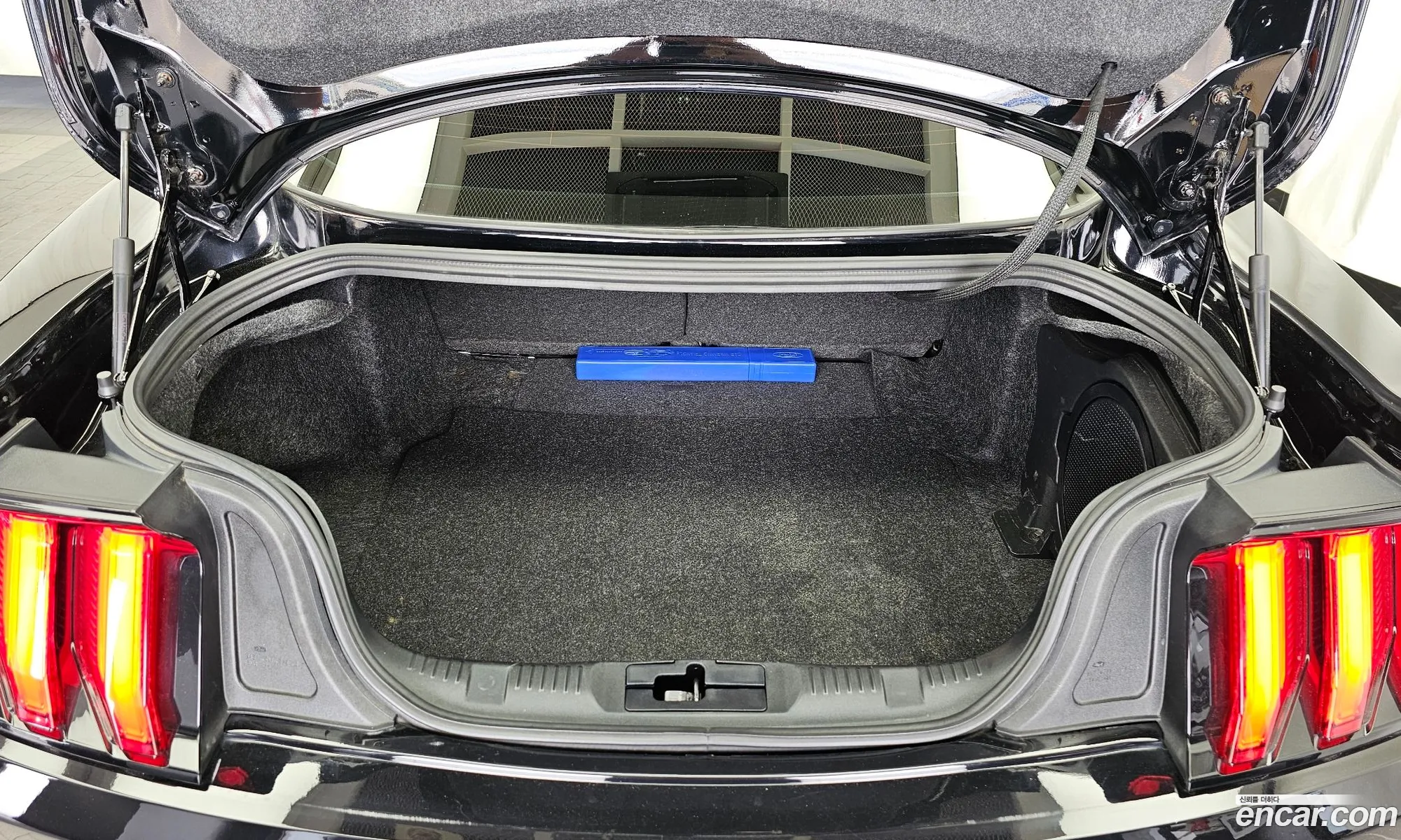 Ford Mustang 2022 1FA6P8TH1N5103434 — 10