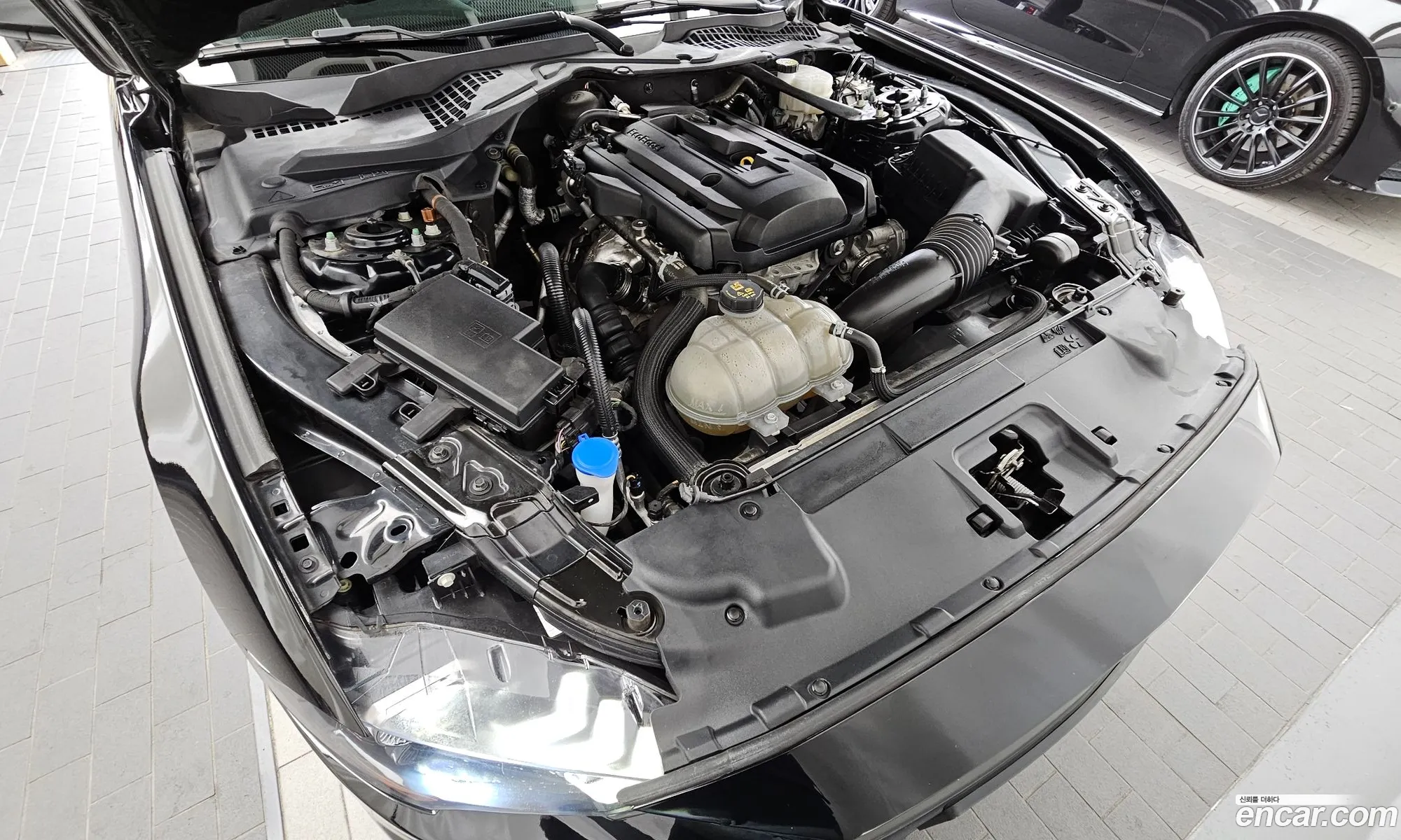 Ford Mustang 2022 1FA6P8TH1N5103434 — 16