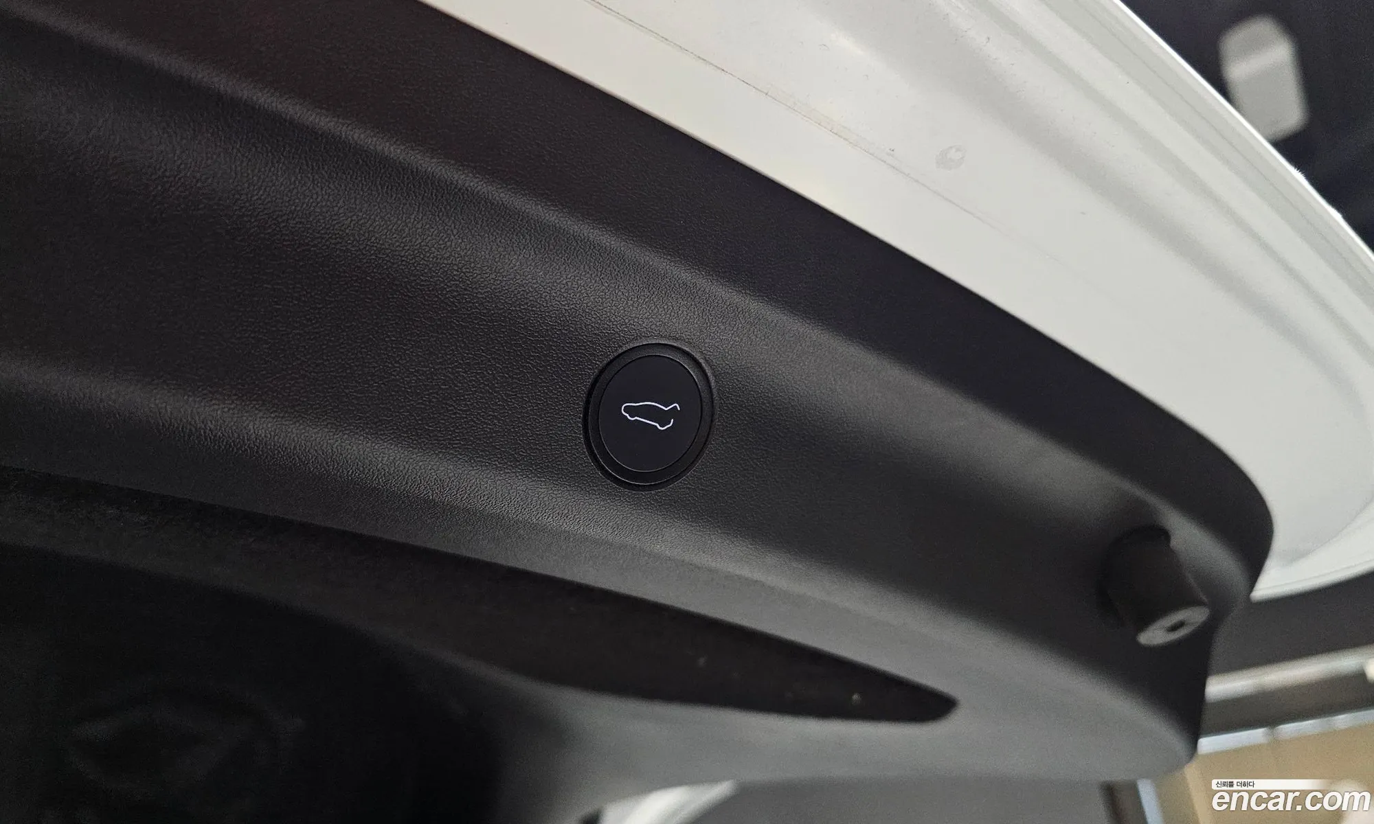 Tesla Model Y 2021 — 17