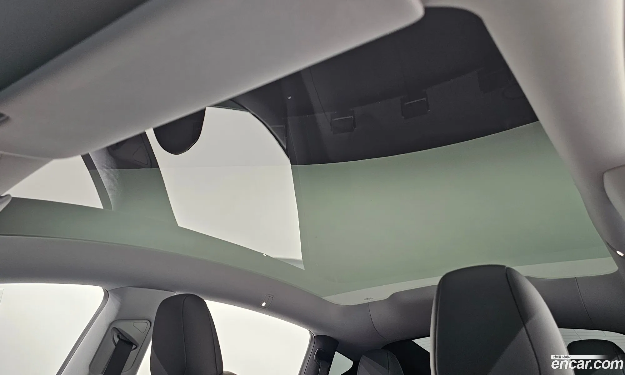 Tesla Model Y 2025 LRWYGCFJ1SC239751 — 2