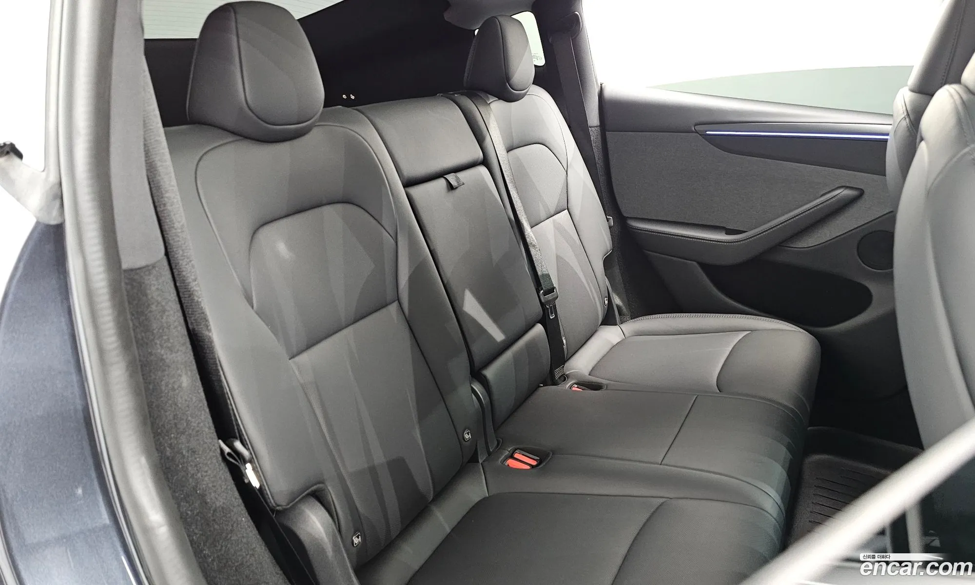 Tesla Model Y 2025 LRWYGCFJ1SC239751 — 16