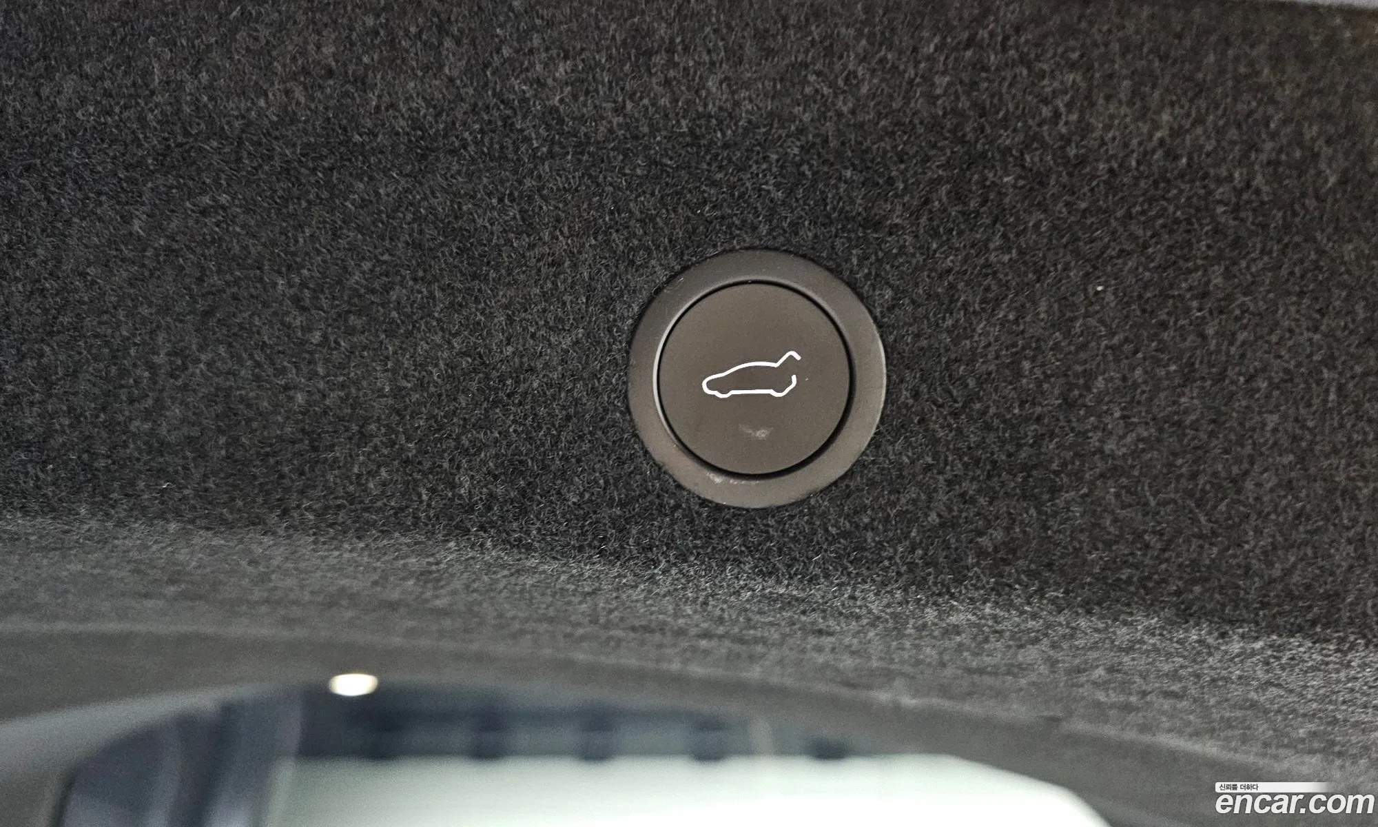 Tesla Model Y 2025 LRWYGCFJ1SC239751 — 5