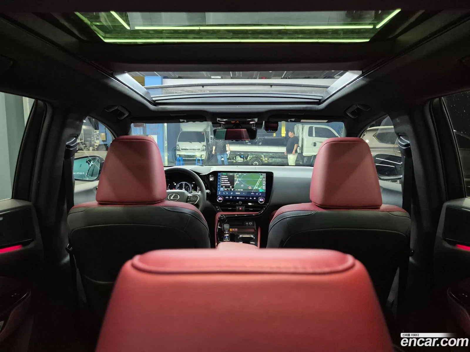 Lexus NX350h 2024 — 6