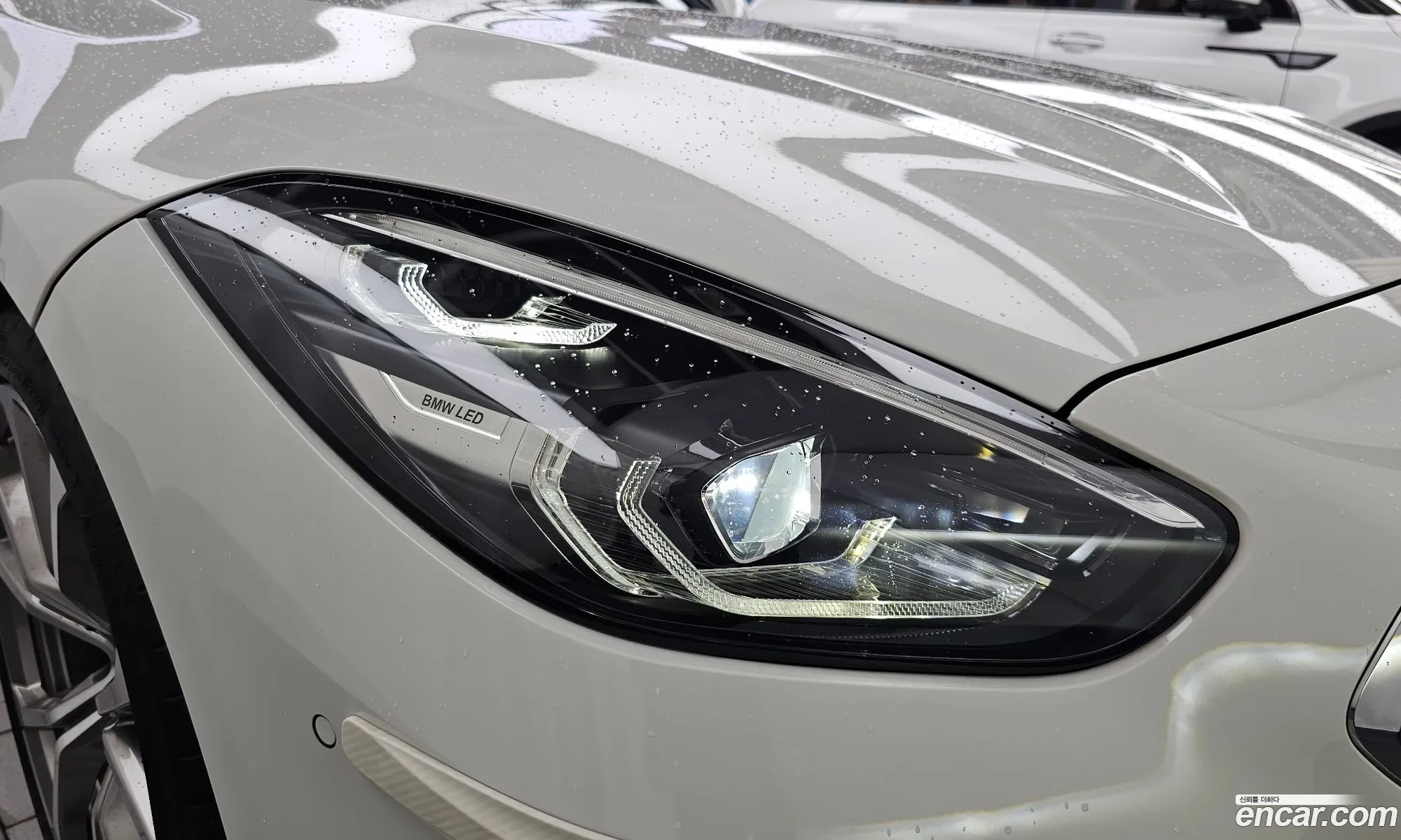 BMW Z4 2022 WBAHF7100NWX44157 — 5