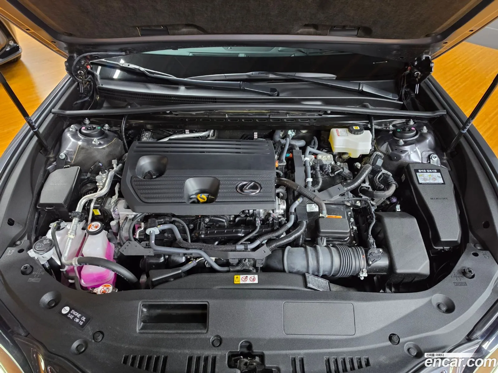 Lexus ES300h 7th Gen 2025 — 8