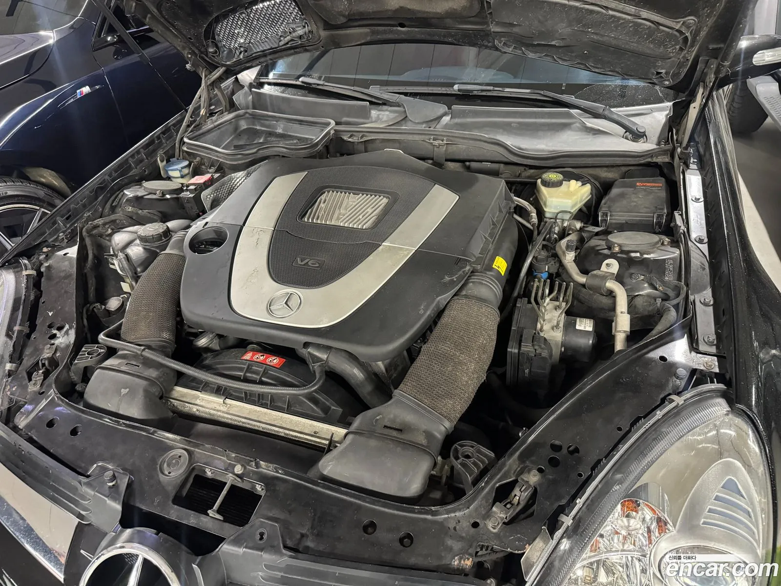 Mercedes-Benz SLK-Class 2005 — 8