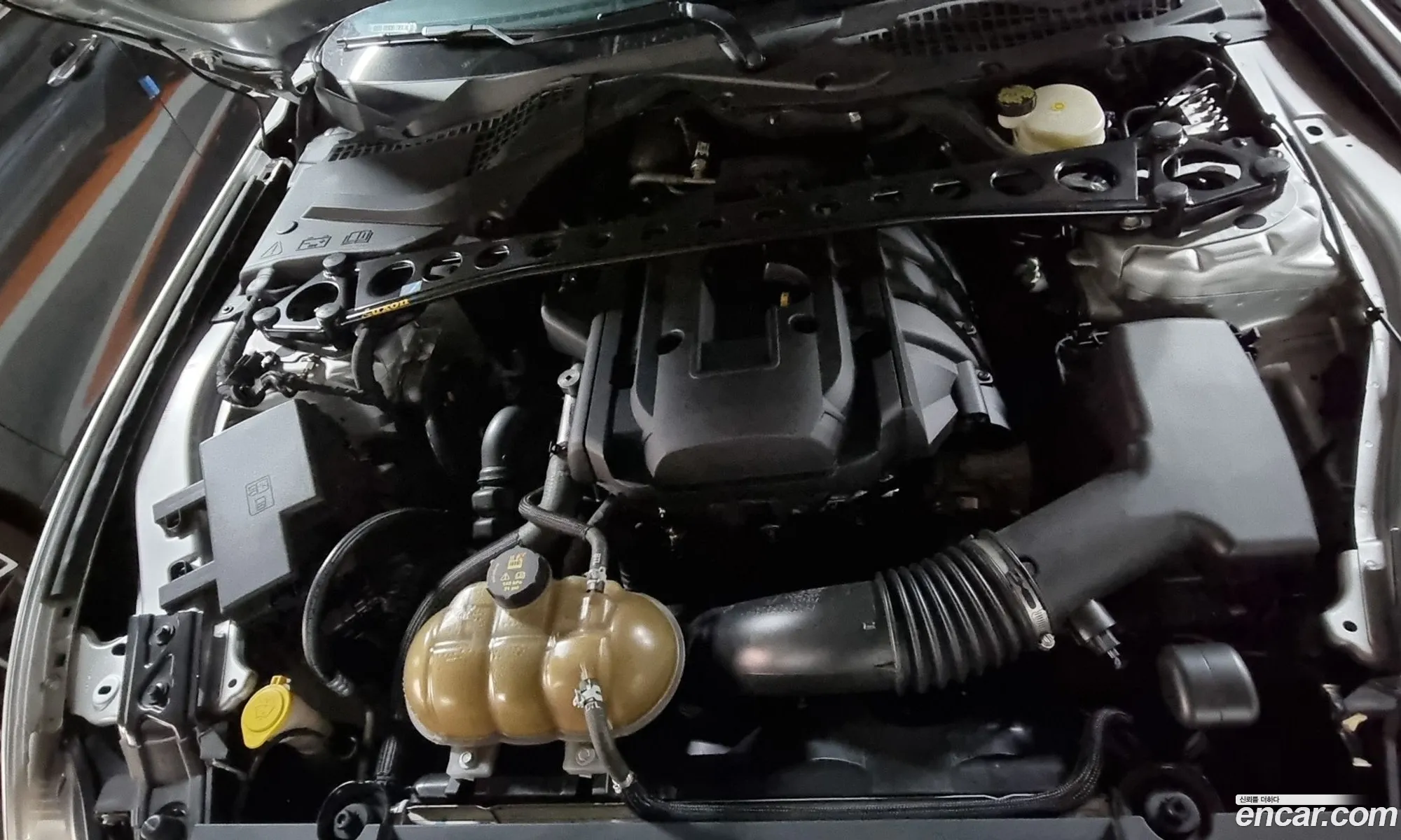 Ford Mustang 2015 — 2