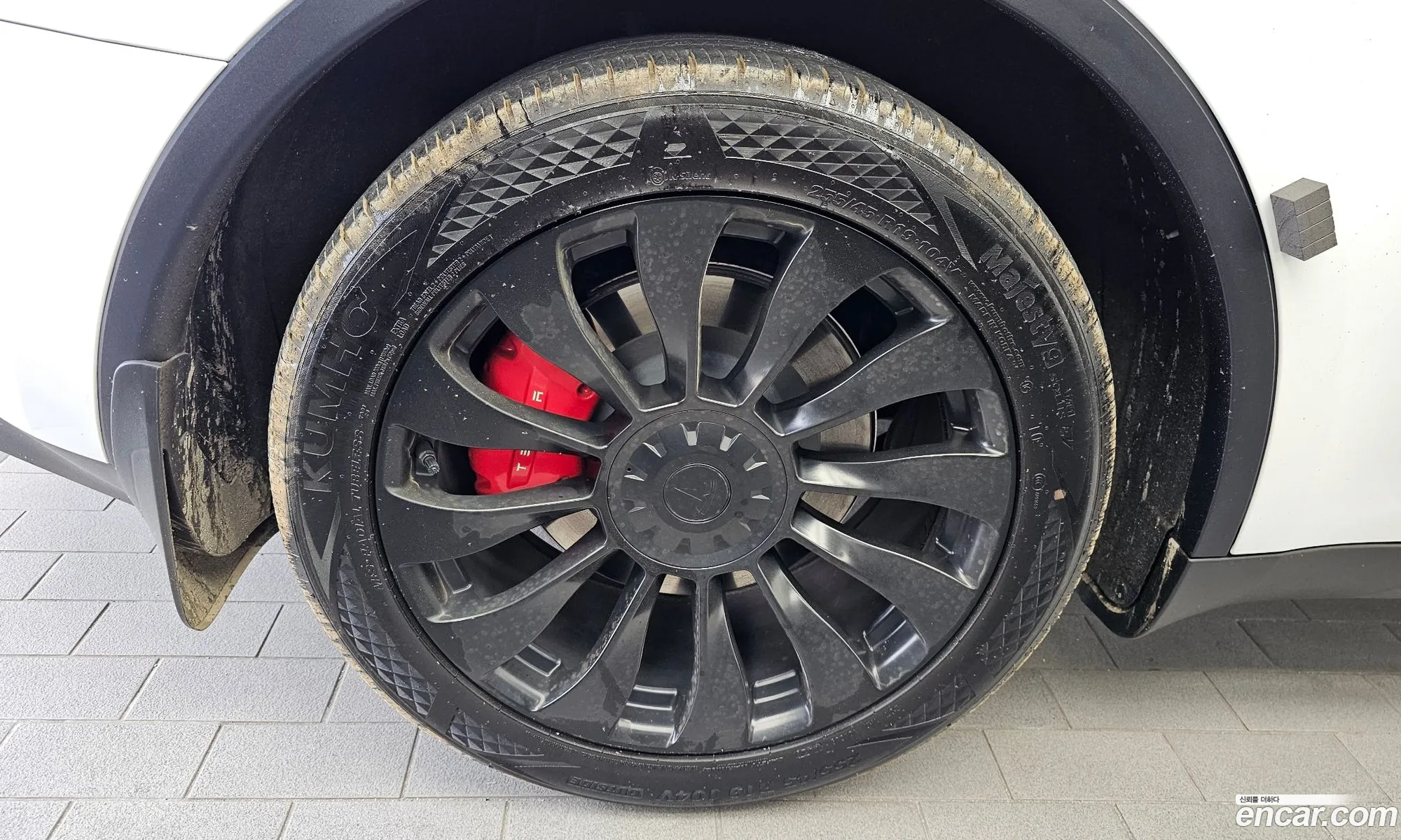 Tesla Model Y 2024 LRWYGCFS2RC418559 — 13