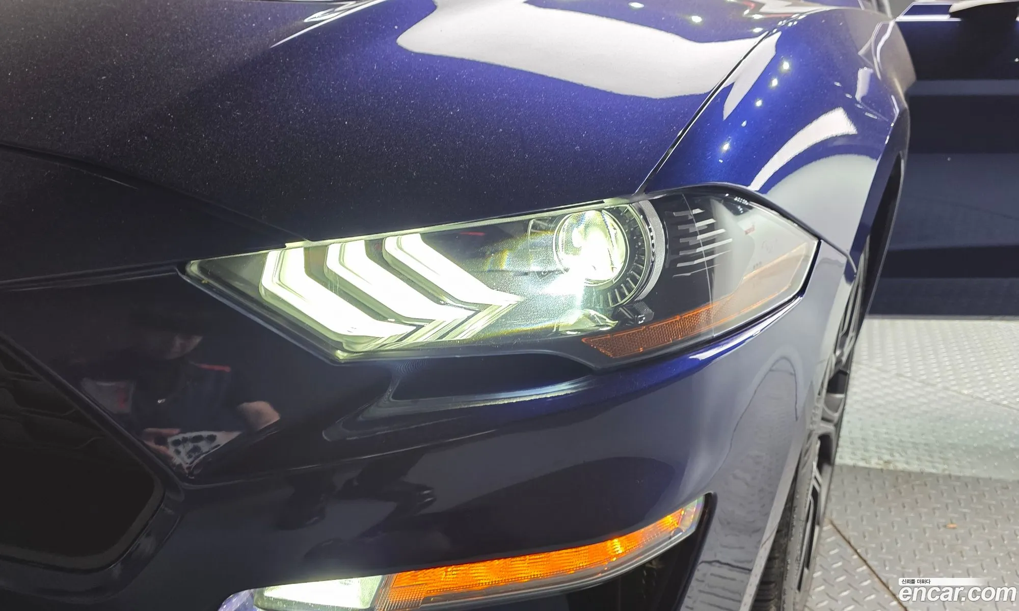 Ford Mustang 2019 1FA6P8THXK5202989 — 17