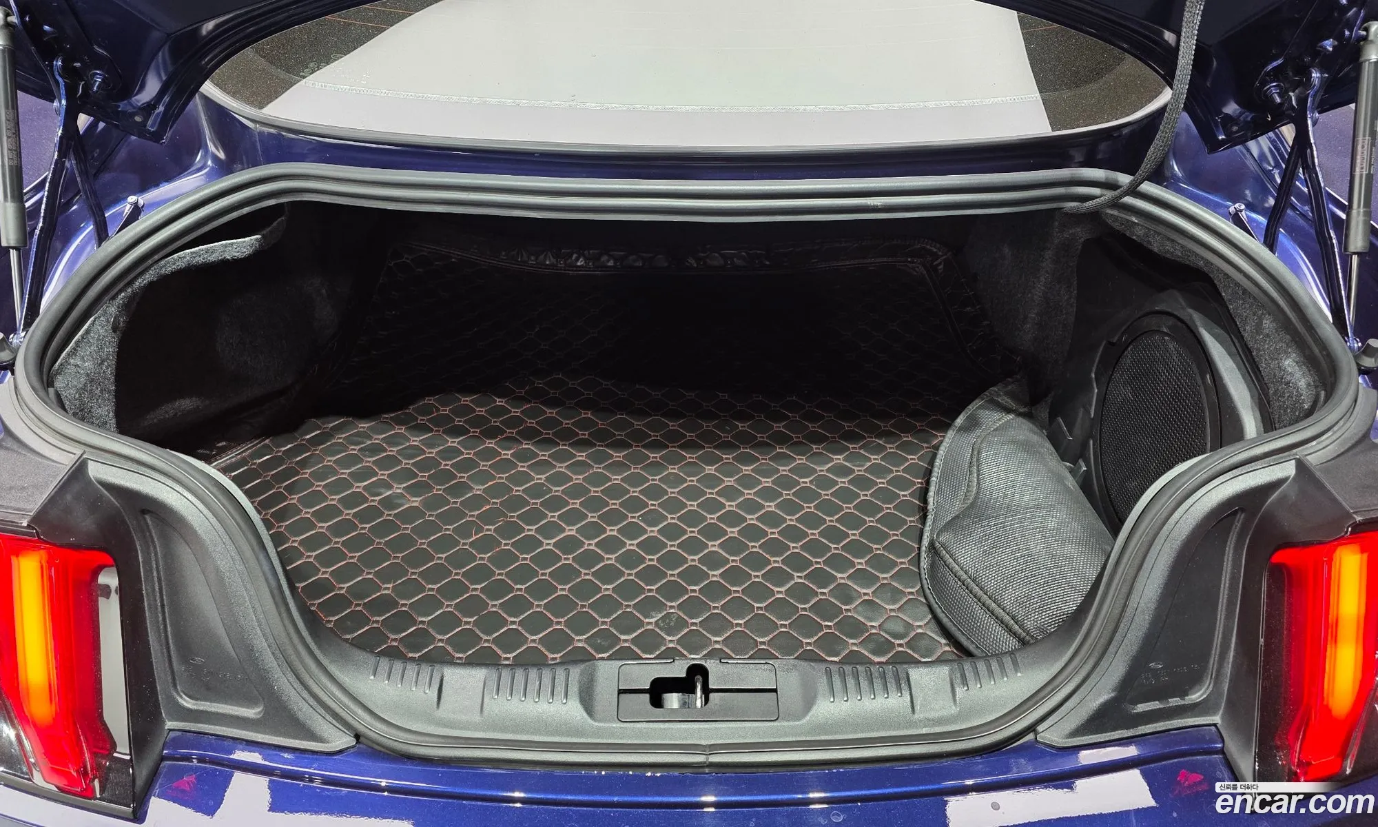 Ford Mustang 2019 1FA6P8THXK5202989 — 10