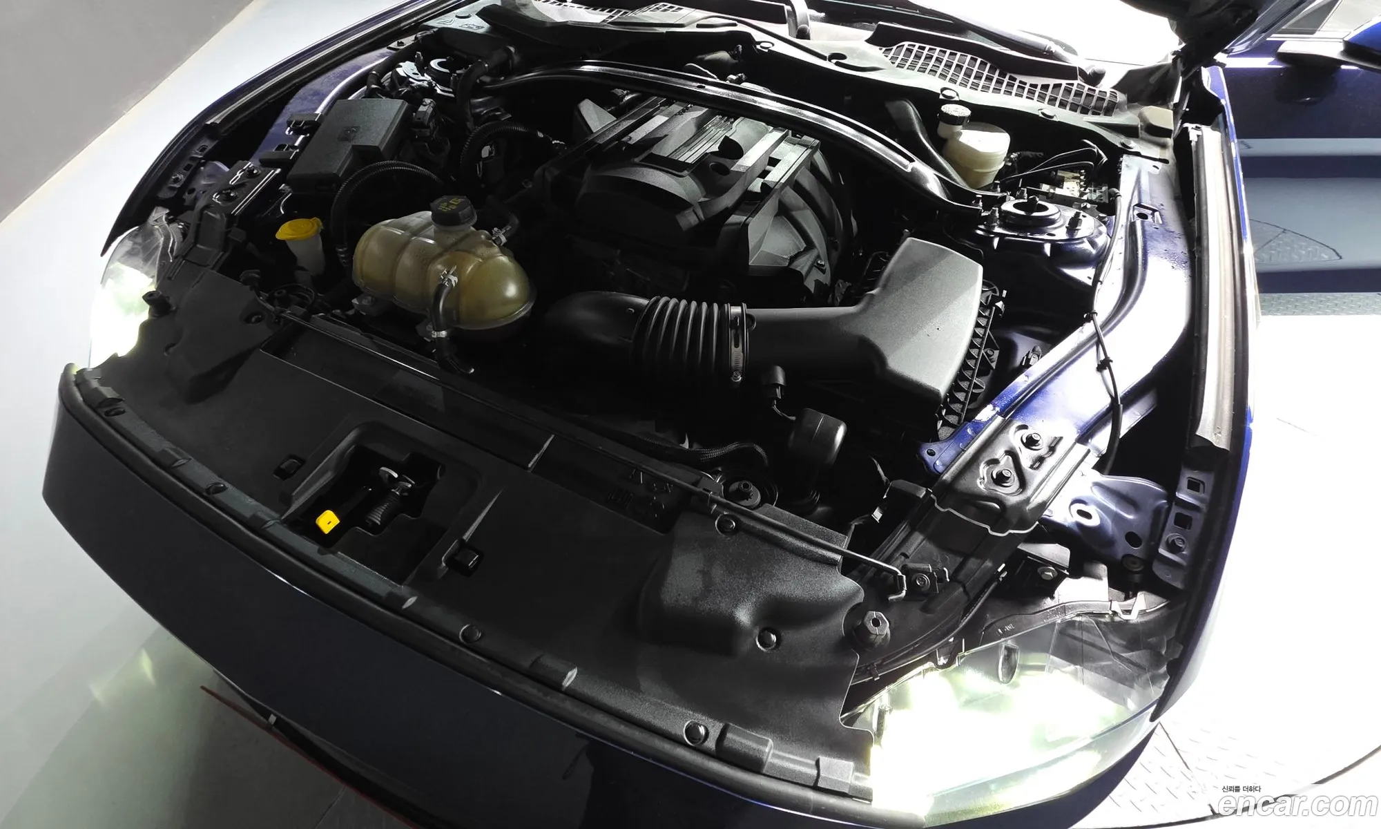 Ford Mustang 2019 1FA6P8THXK5202989 — 24