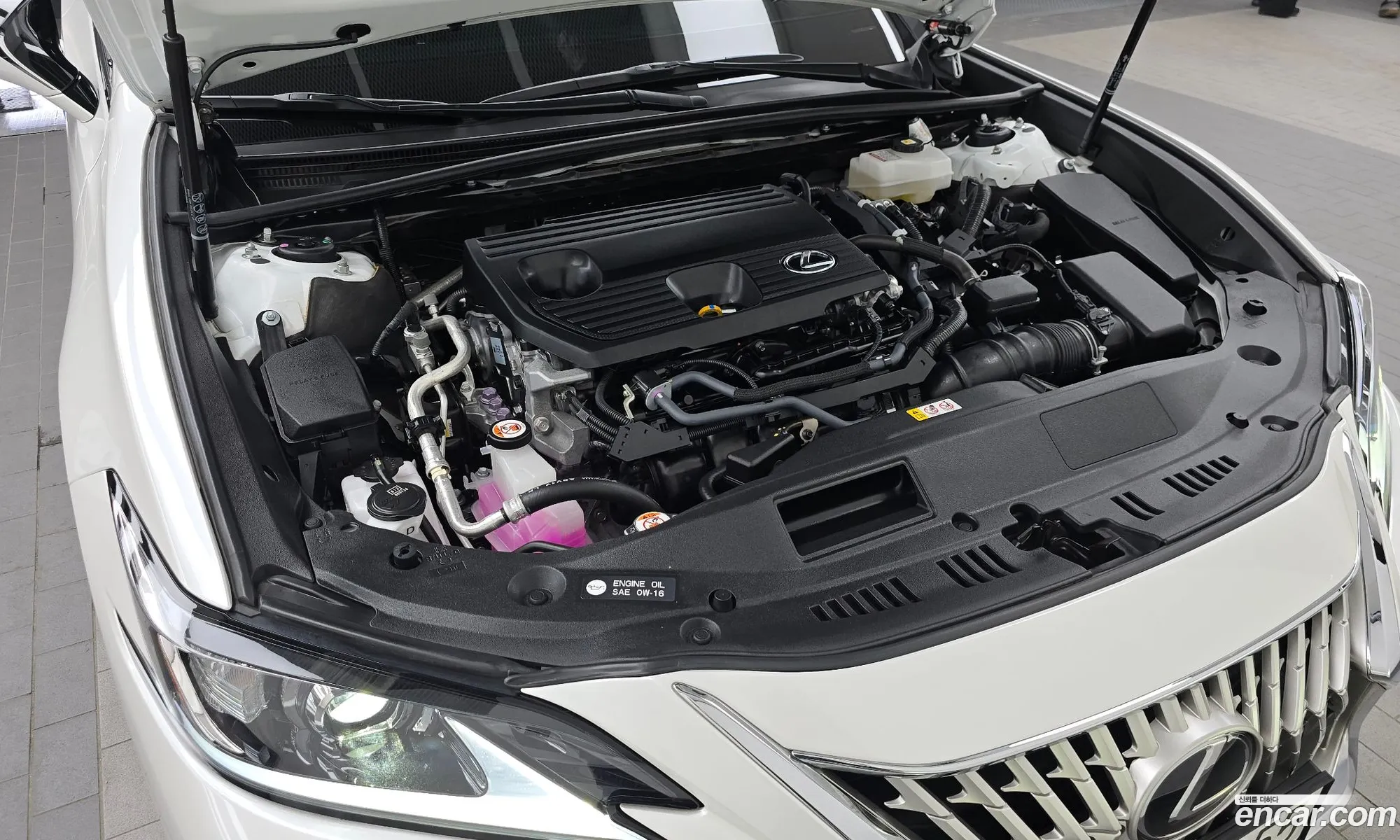 Lexus ES300h 7th Gen 2025 JTHBA1C1XT2029089 — 22
