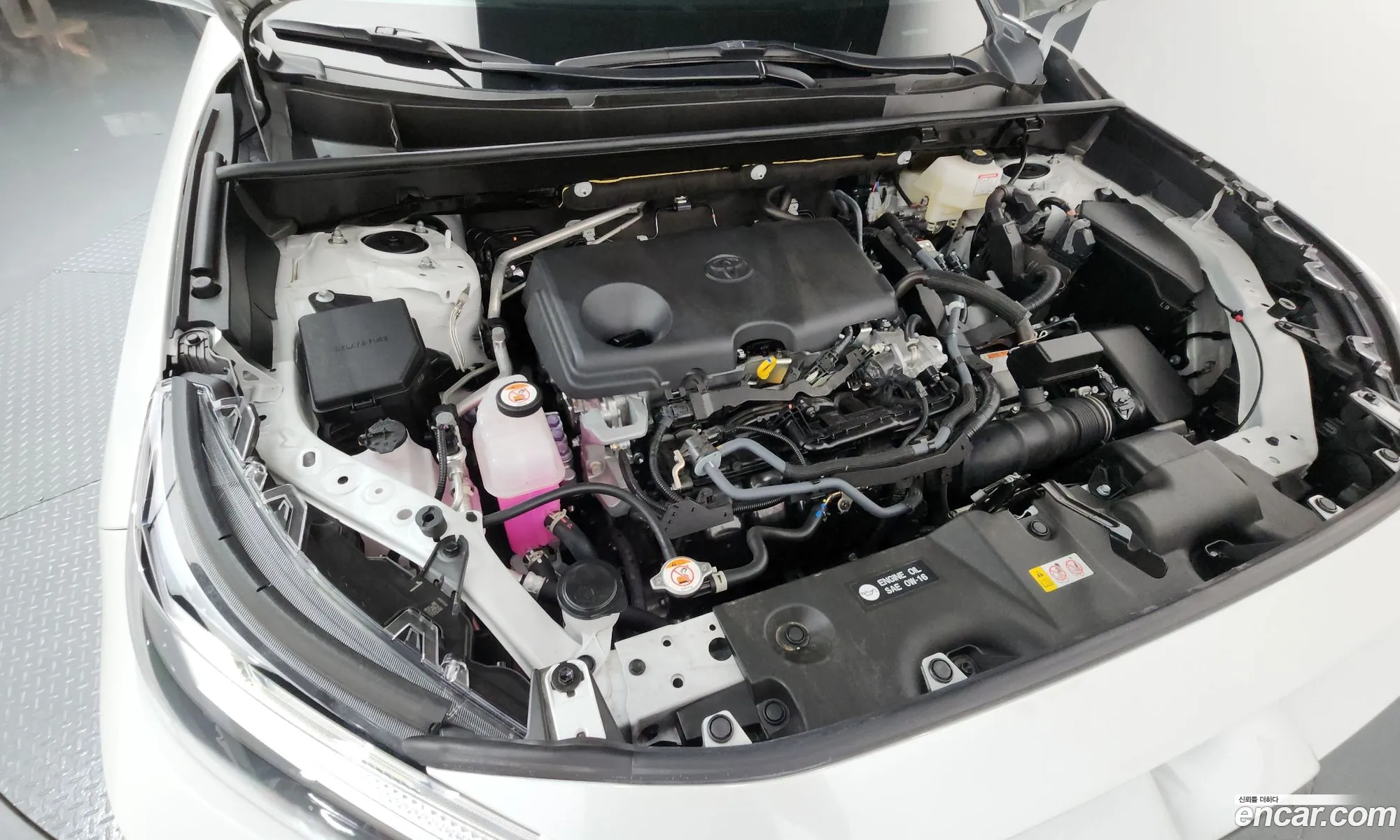 Toyota RAV4 2025 JTMX2RFVXSD196007 — 5