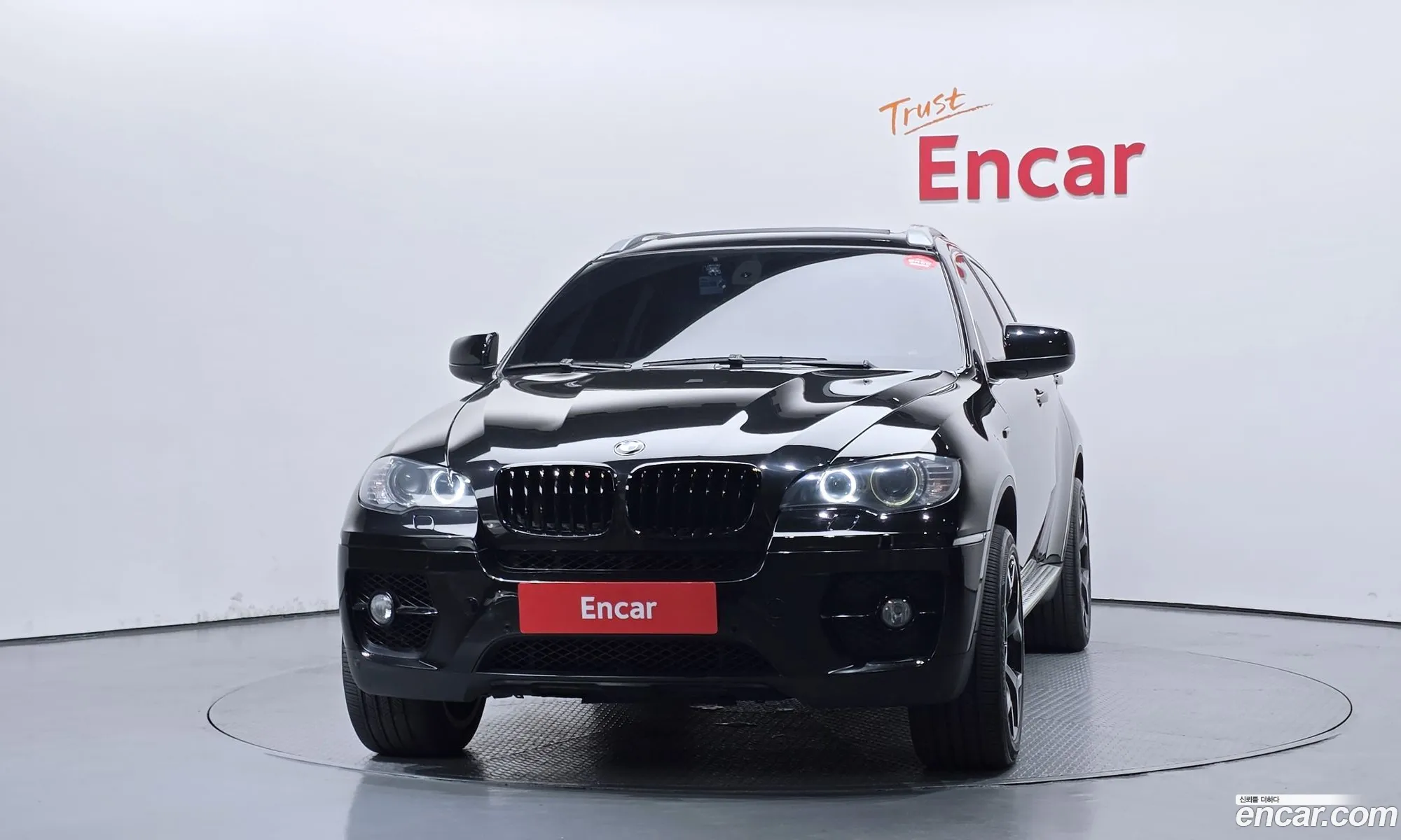 BMW X6 2009 WBAFG81059L284494 — 3