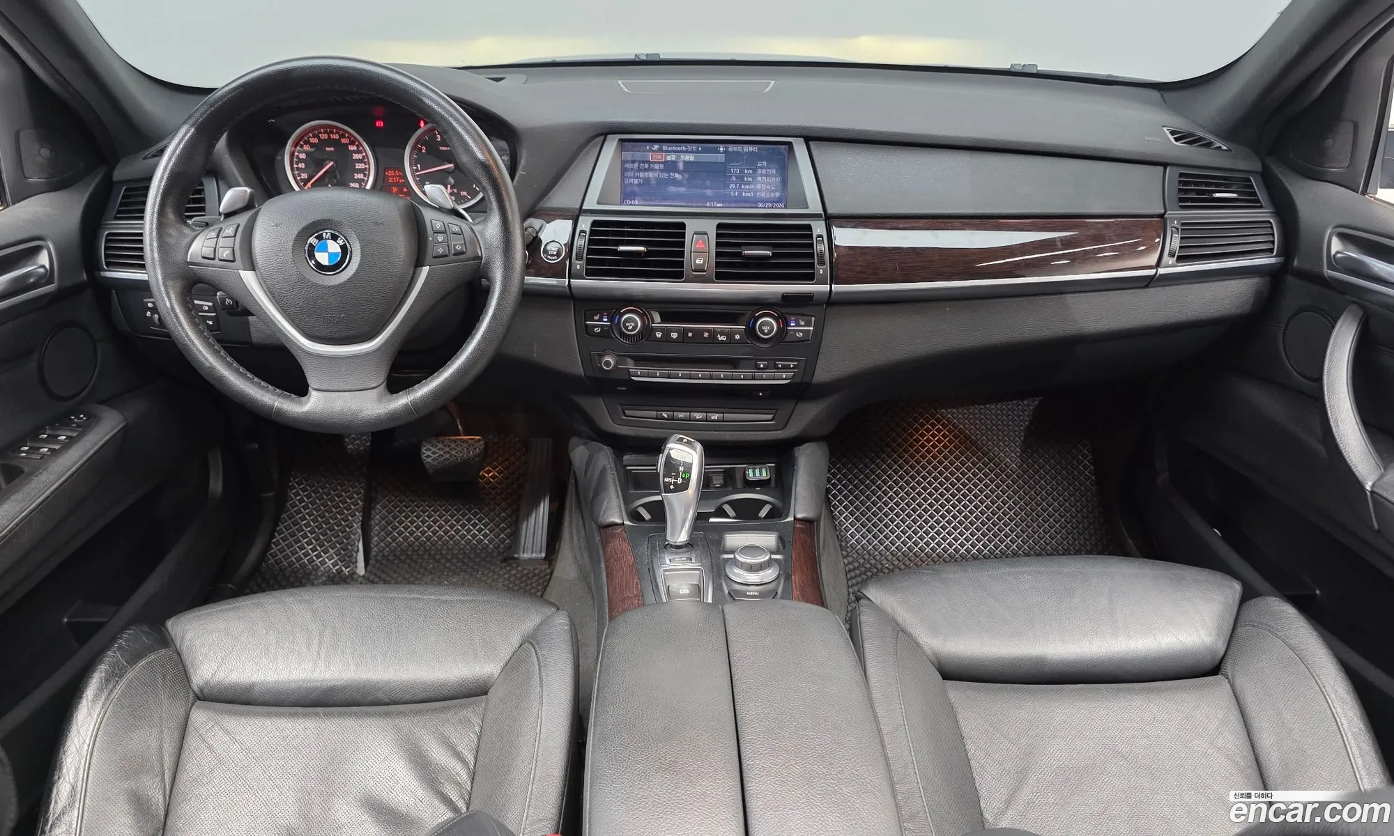 BMW X6 2009 WBAFG81059L284494 — 2