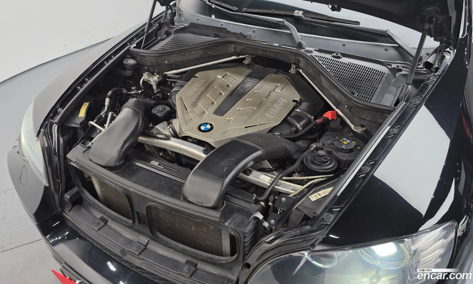 BMW X6 2009 WBAFG81059L284494 — 11