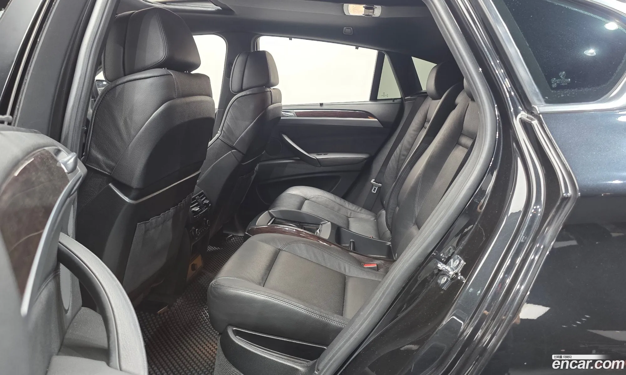 BMW X6 2009 WBAFG81059L284494 — 16