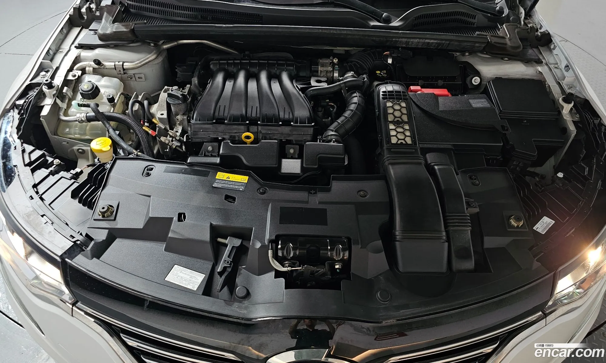 Renault Korea (Samsung) SM6 2016 — 5
