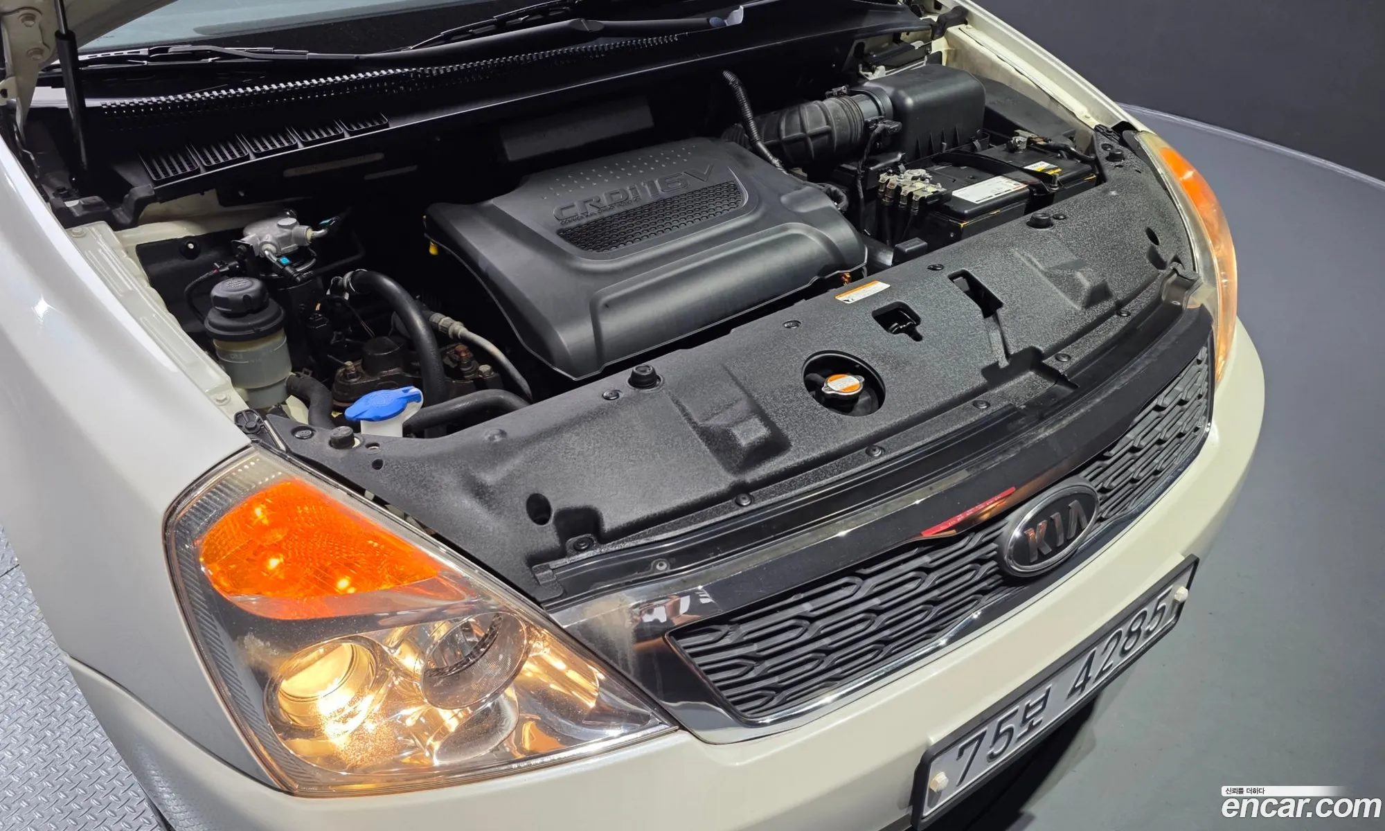 Kia Carnival R 2010 — 3
