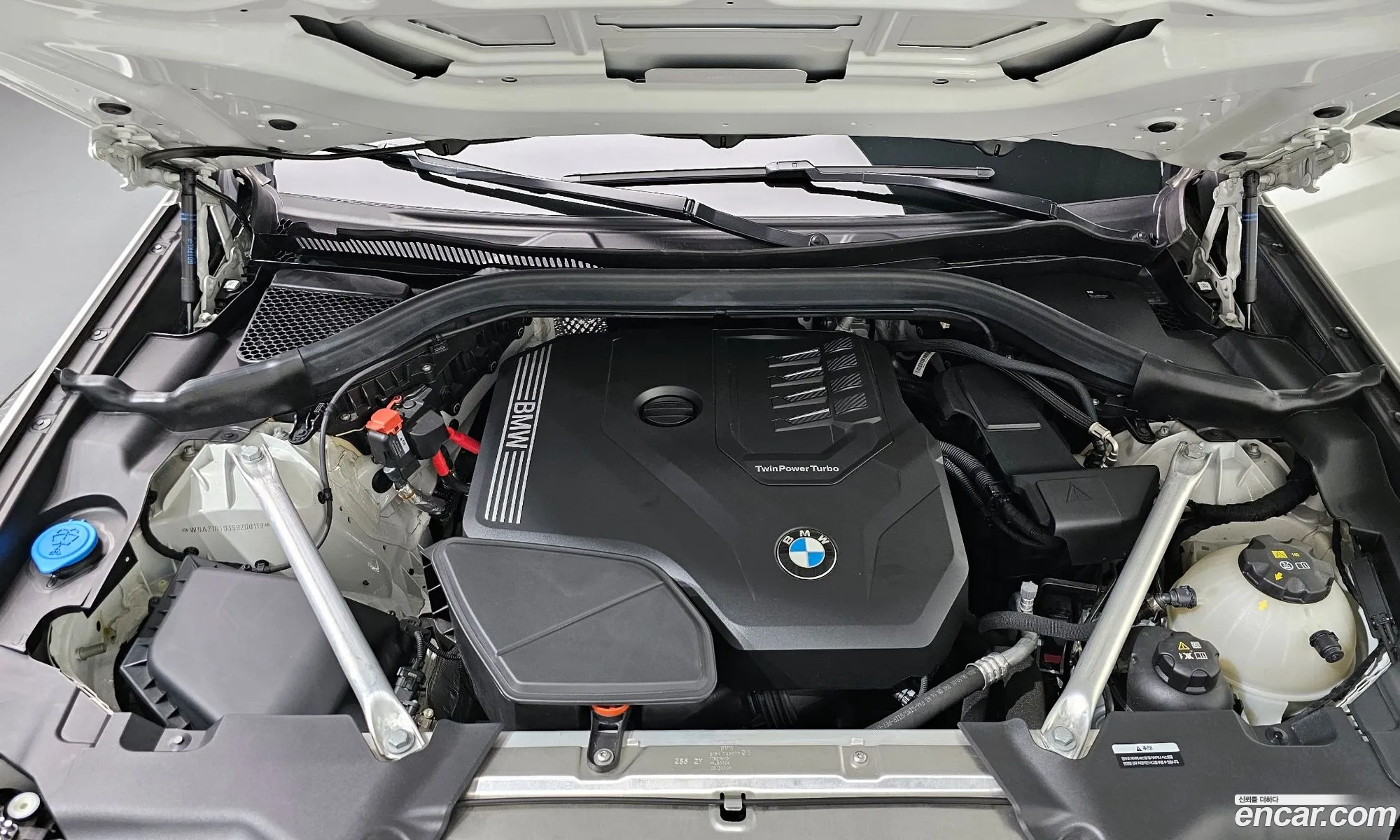 BMW X4 2025 WBA21DT03S9Z00119 — 5