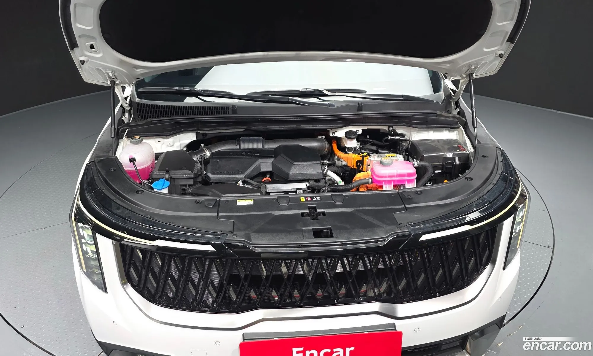 Kia Carnival 2024 — 22