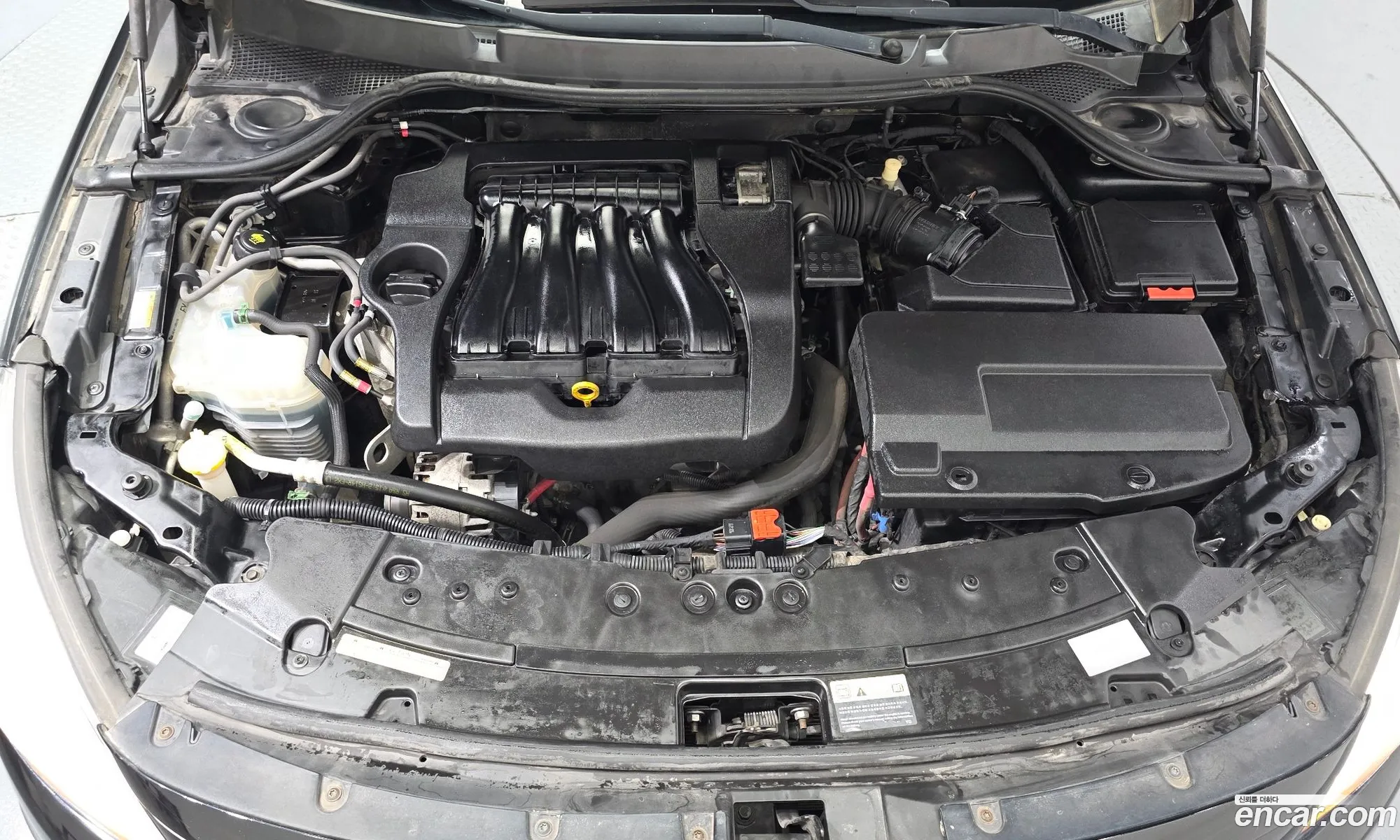 Renault Korea (Samsung) SM7 Nova 2016 — 25