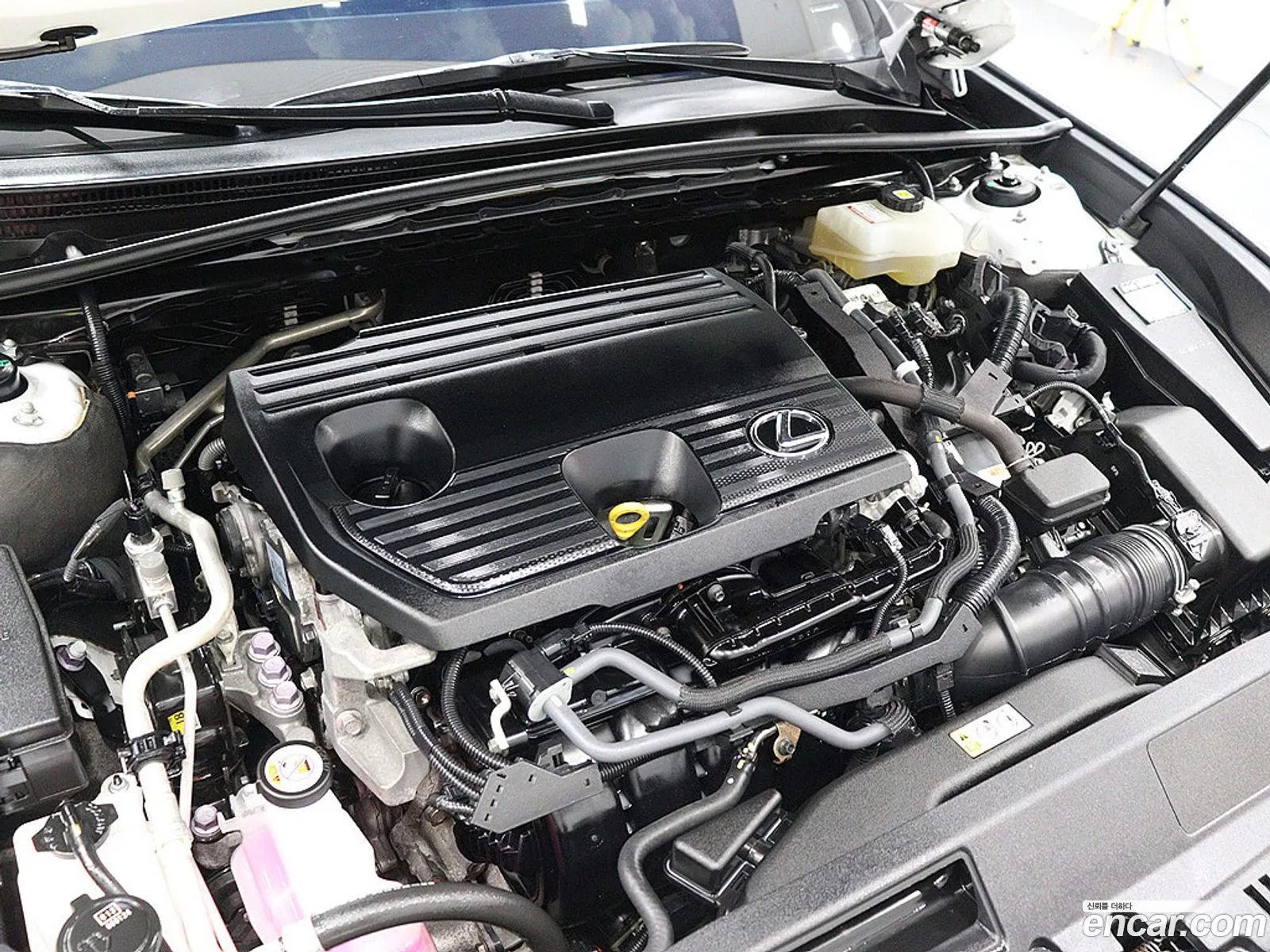 Lexus ES300h 7th Gen 2022 — 18