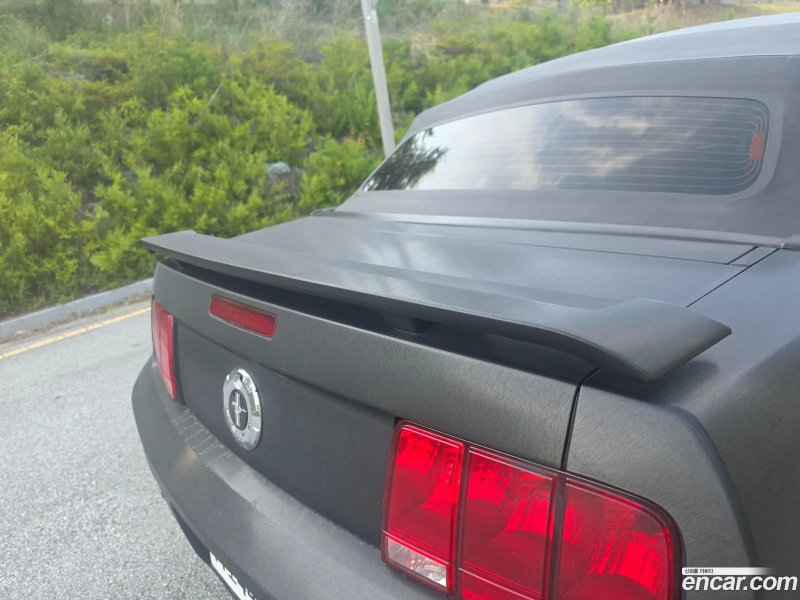 Ford Mustang 2006 — 13