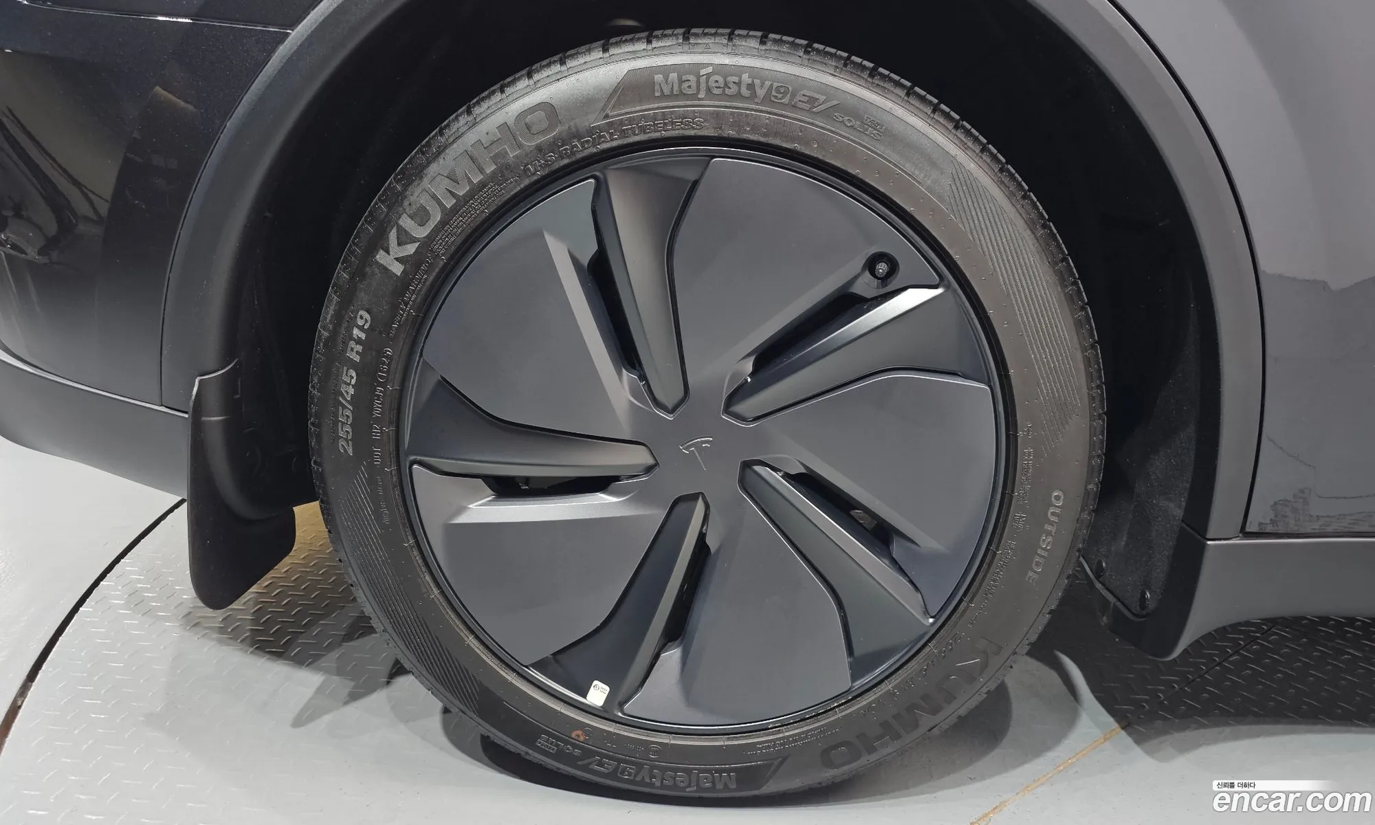 Tesla Model Y 2025 LRWYGCFJ8SC054242 — 5