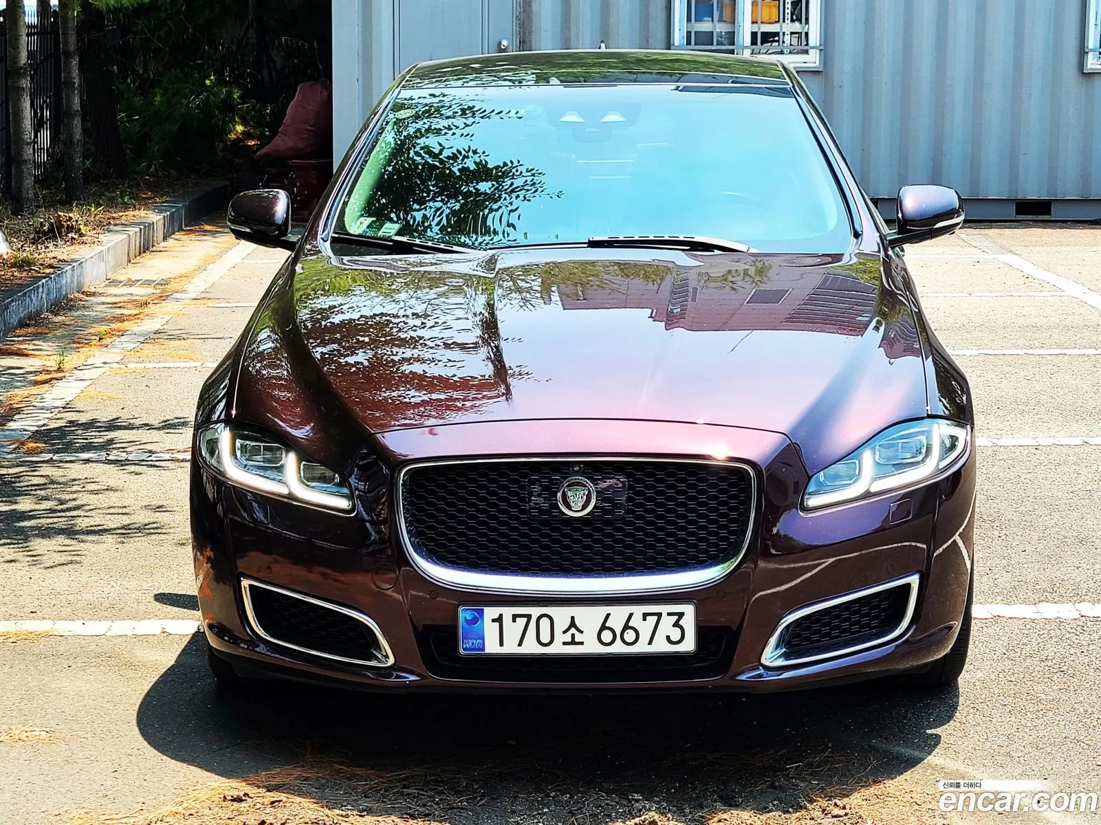 Jaguar XJ
