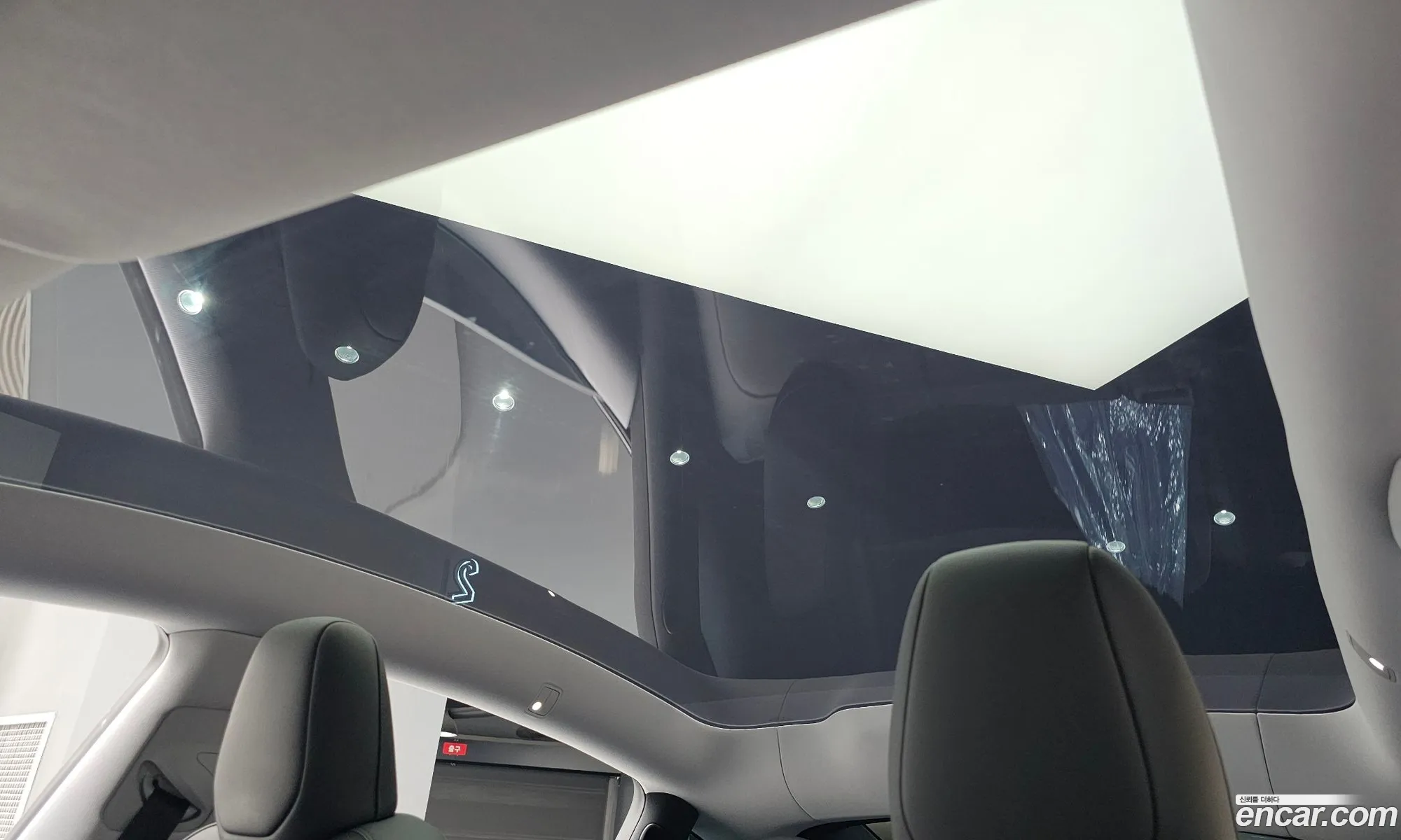 Tesla Model Y 2025 LRWYGCEK6SC202074 — 9