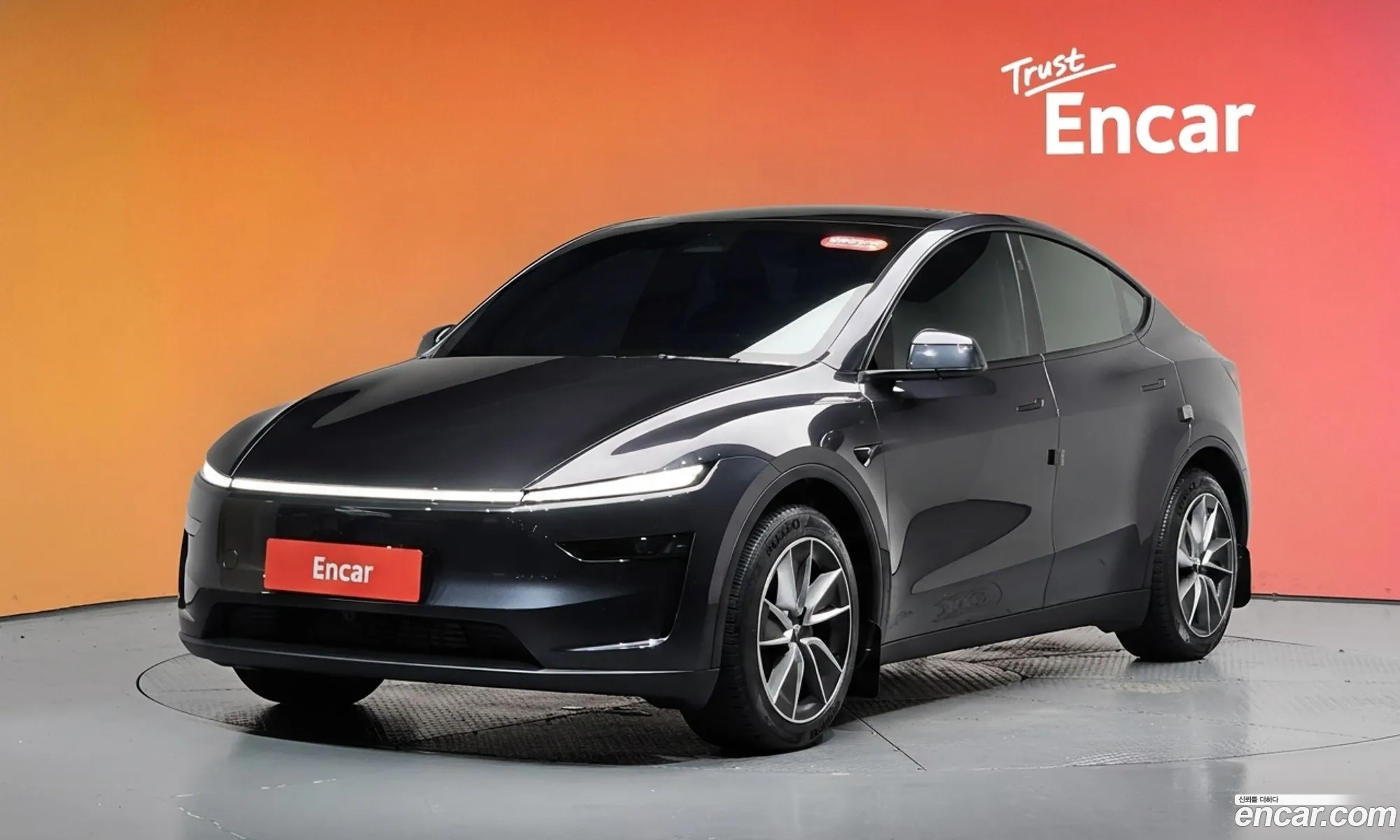 Tesla Model Y 2025 LRWYGCEK6SC202074 — 2