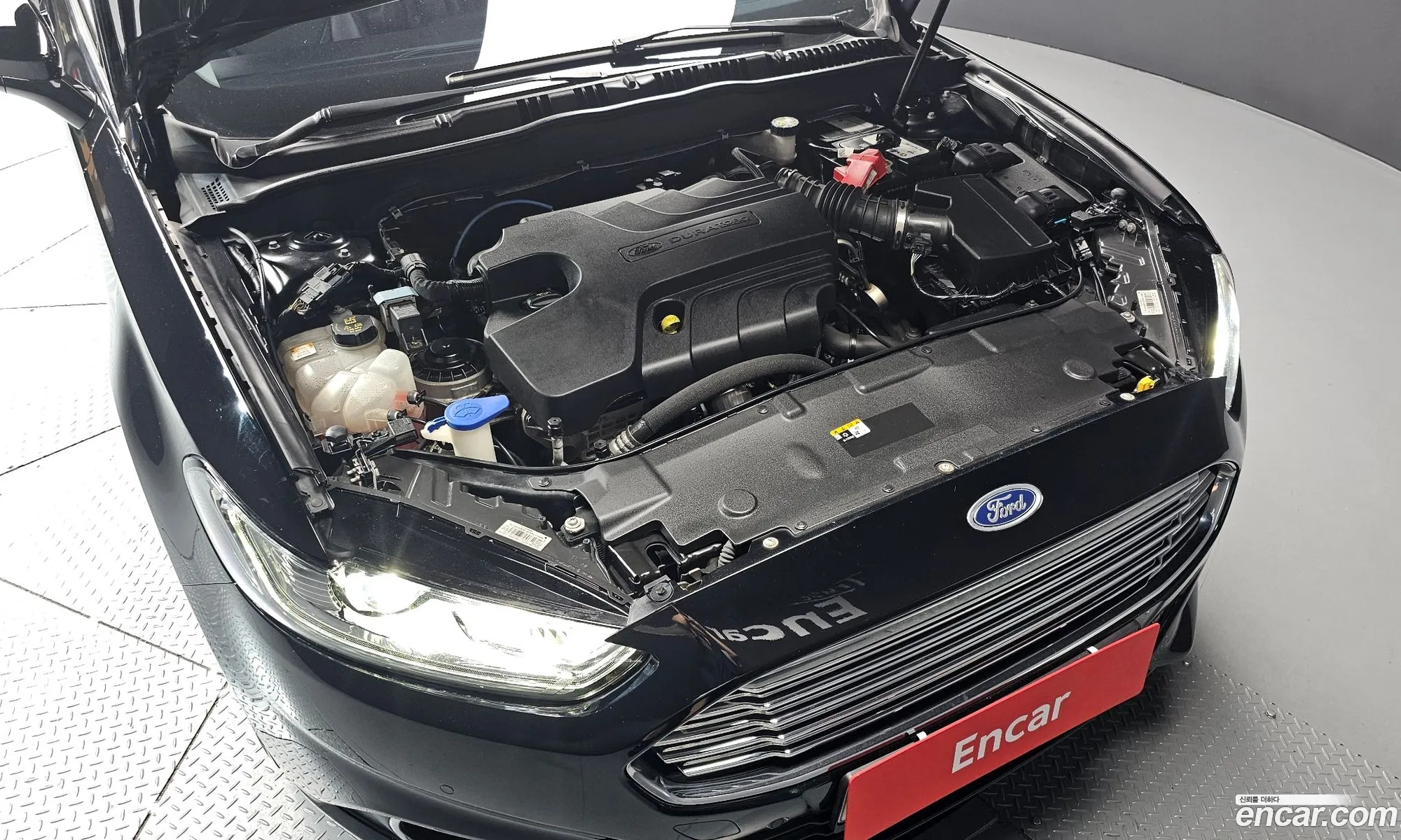 Ford Mondeo 2017 WF0DXXWP — 17