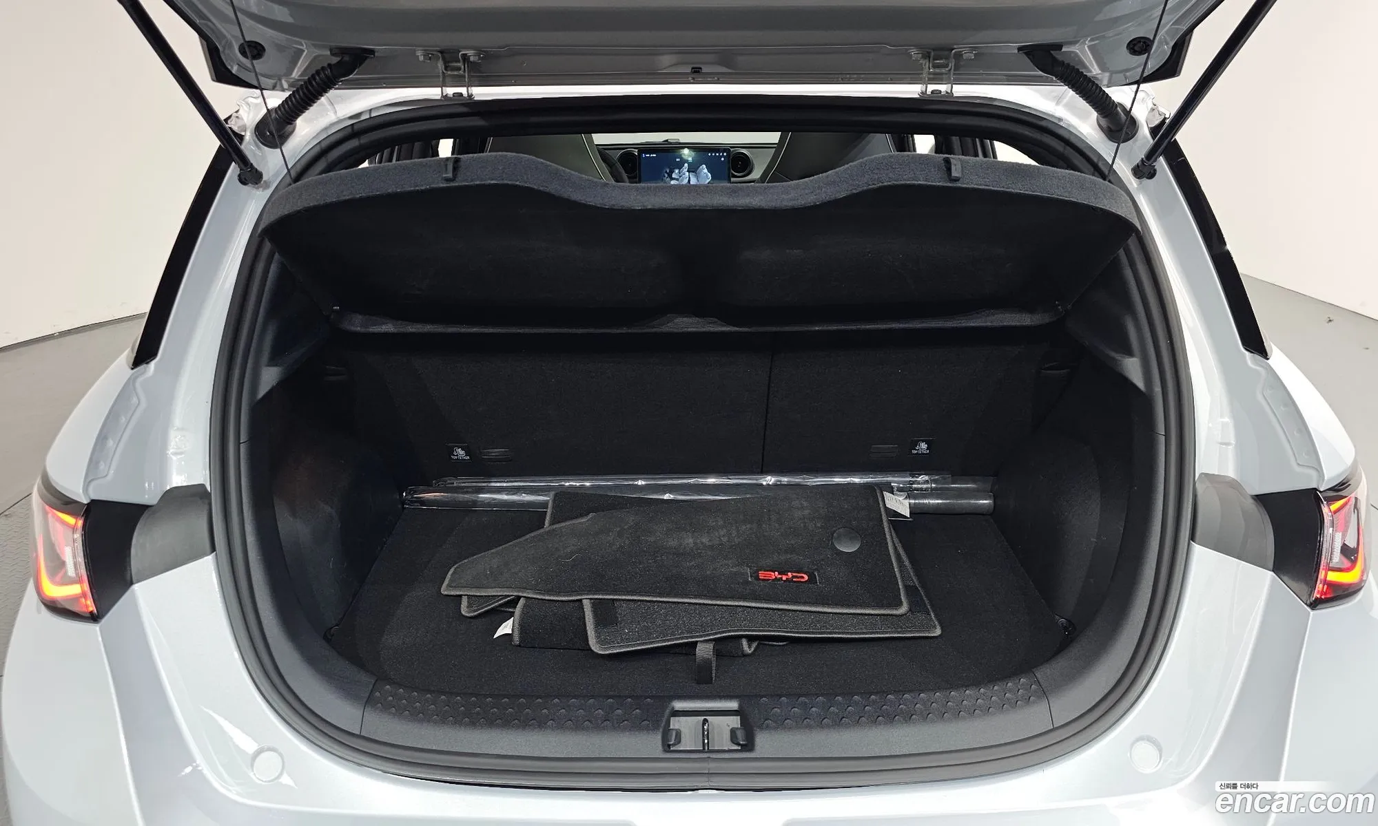 BYD Dolphin 2026 LGXCE4CC1T2165286 — 27