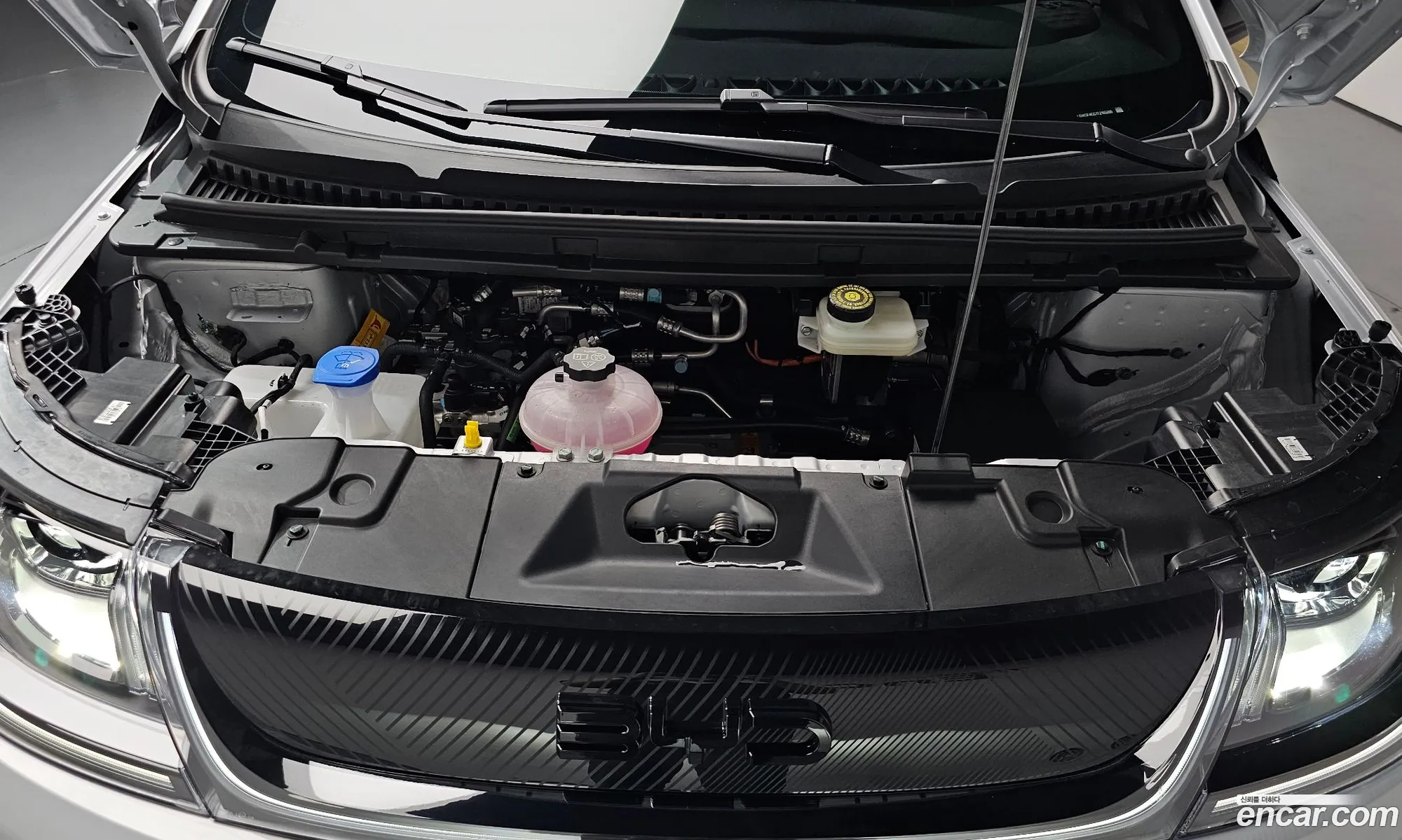 BYD Dolphin 2026 LGXCE4CC1T2165286 — 30