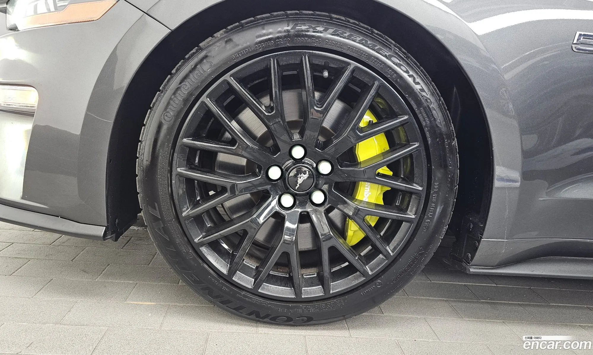 Ford Mustang 2019 1FA6P8CF5K5165607 — 9