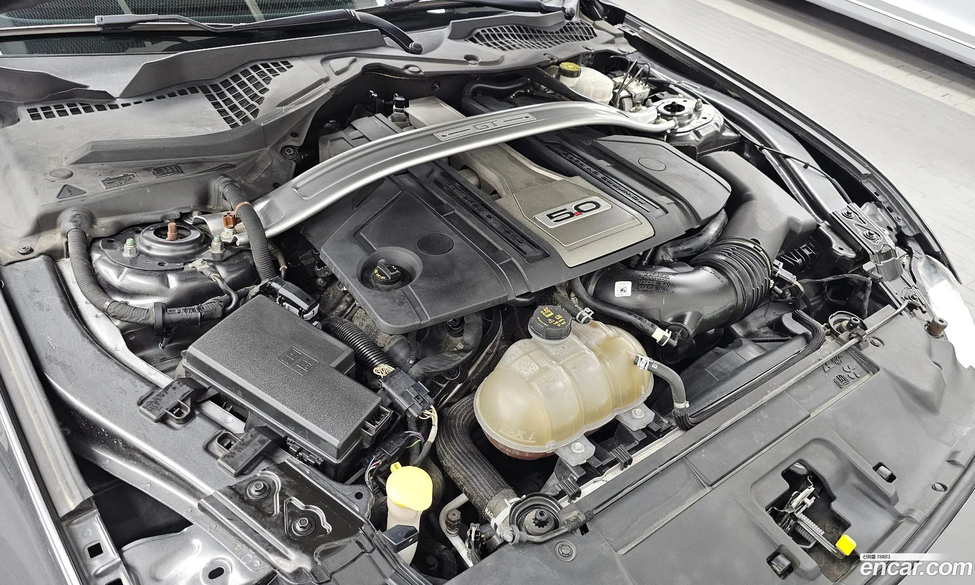 Ford Mustang 2019 1FA6P8CF5K5165607 — 11
