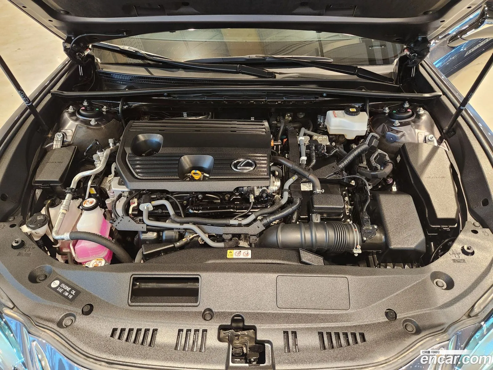 Lexus ES300h 7th Gen 2023 — 14